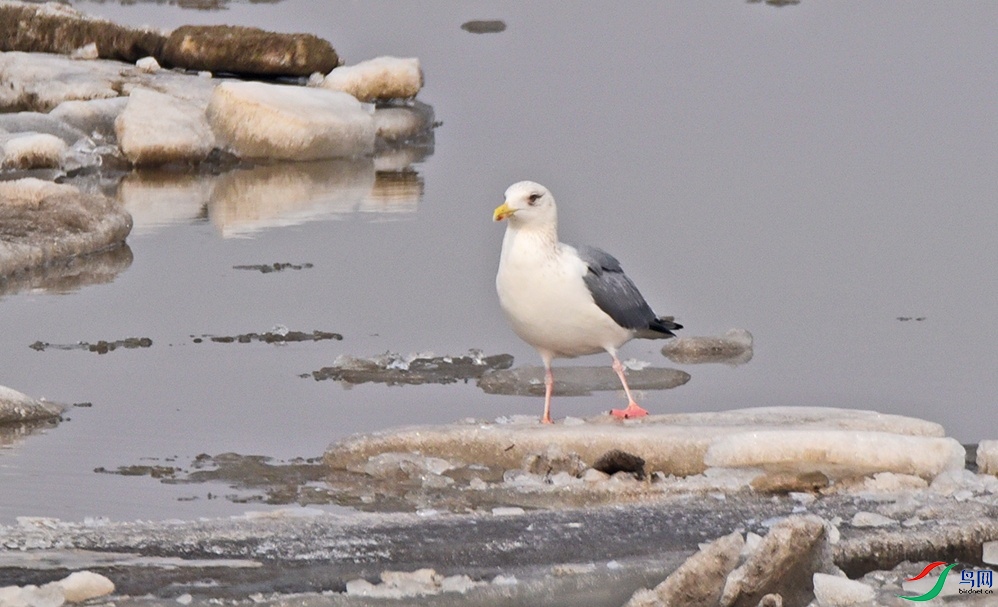 DSC_4022.jpg