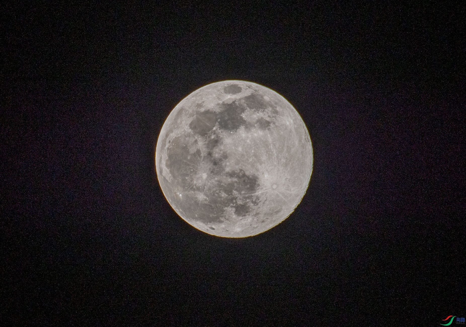 DSC_9453.jpg