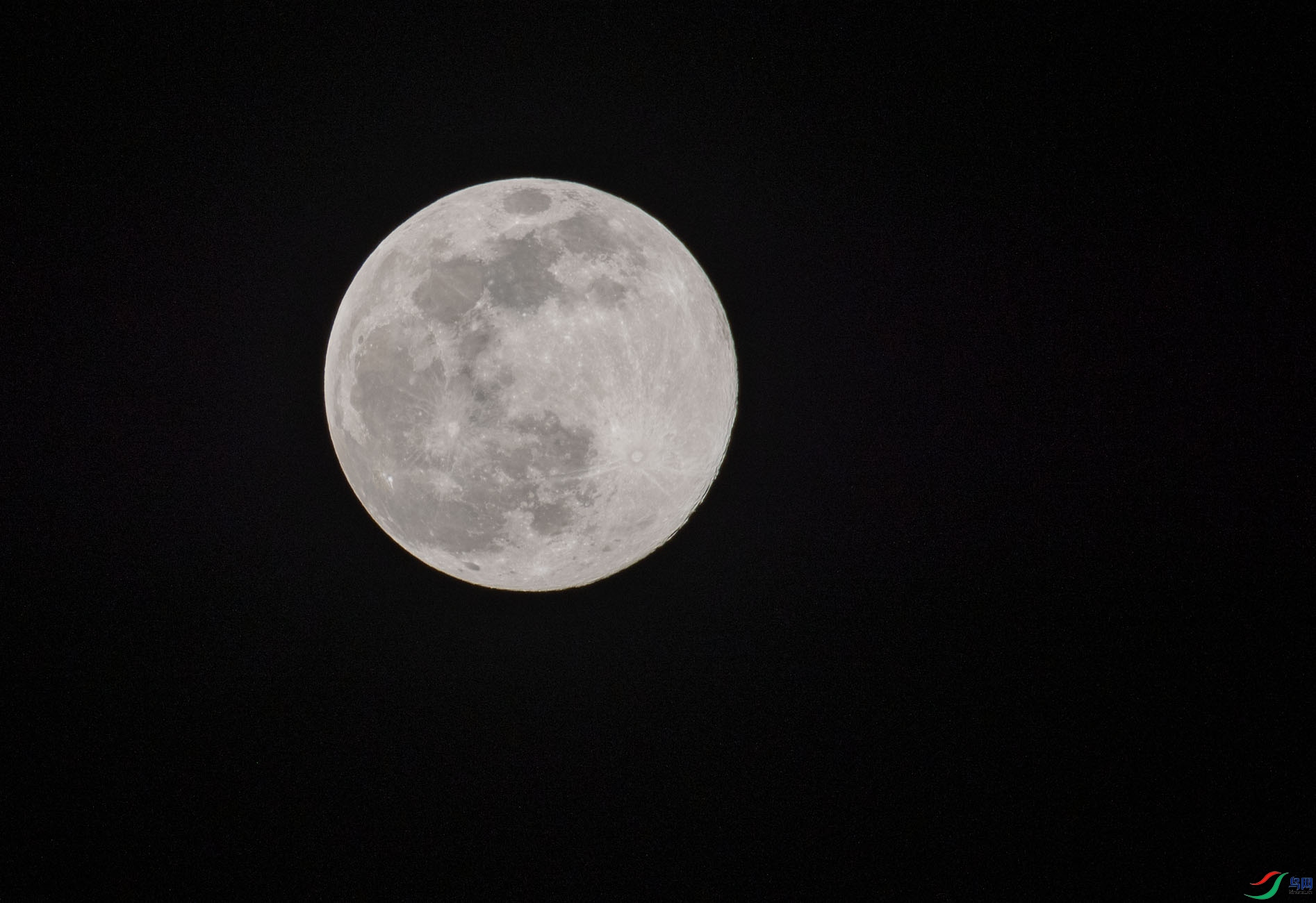 DSC_9452.jpg
