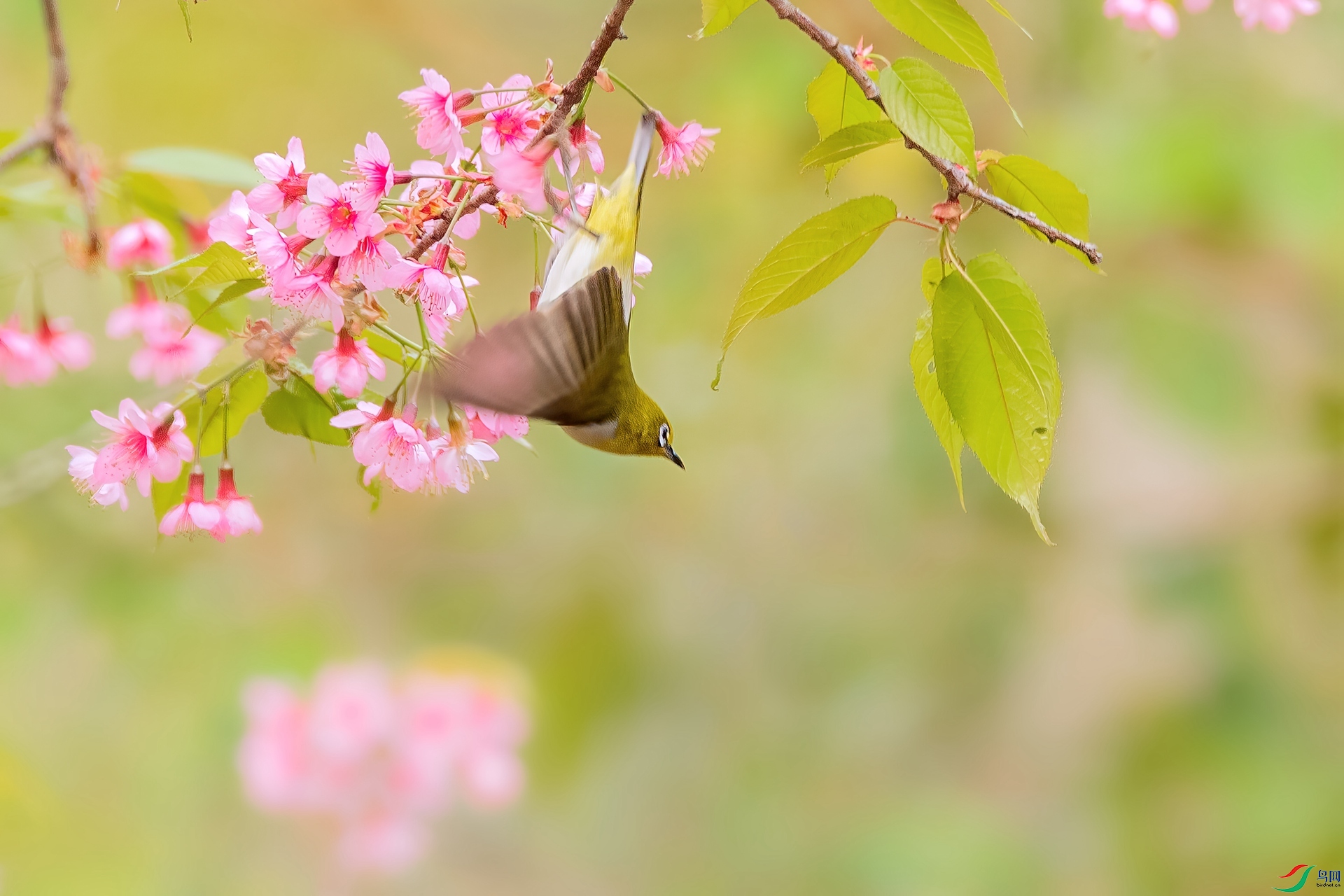 B86I2709 _����.jpg