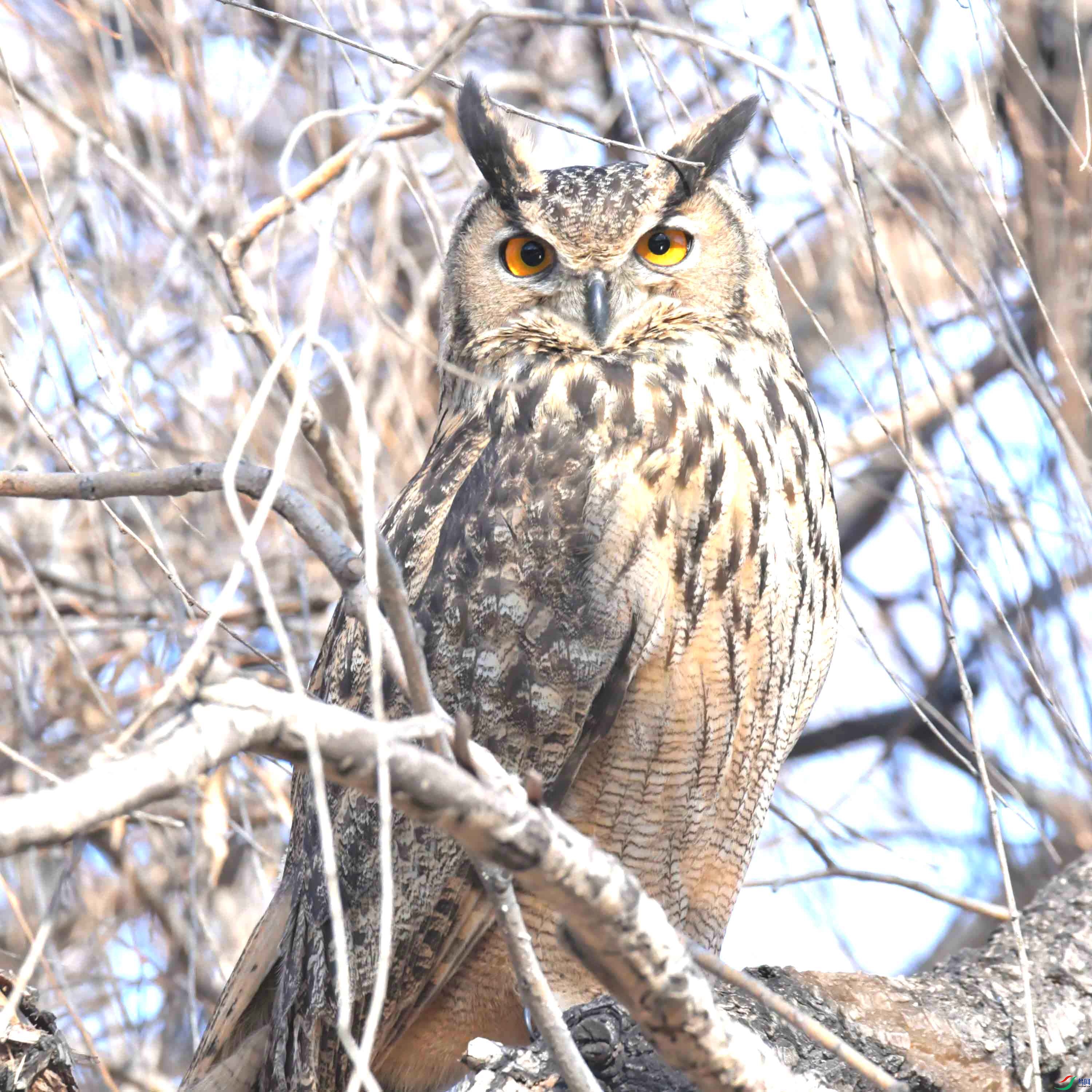 DSC_6049.JPG