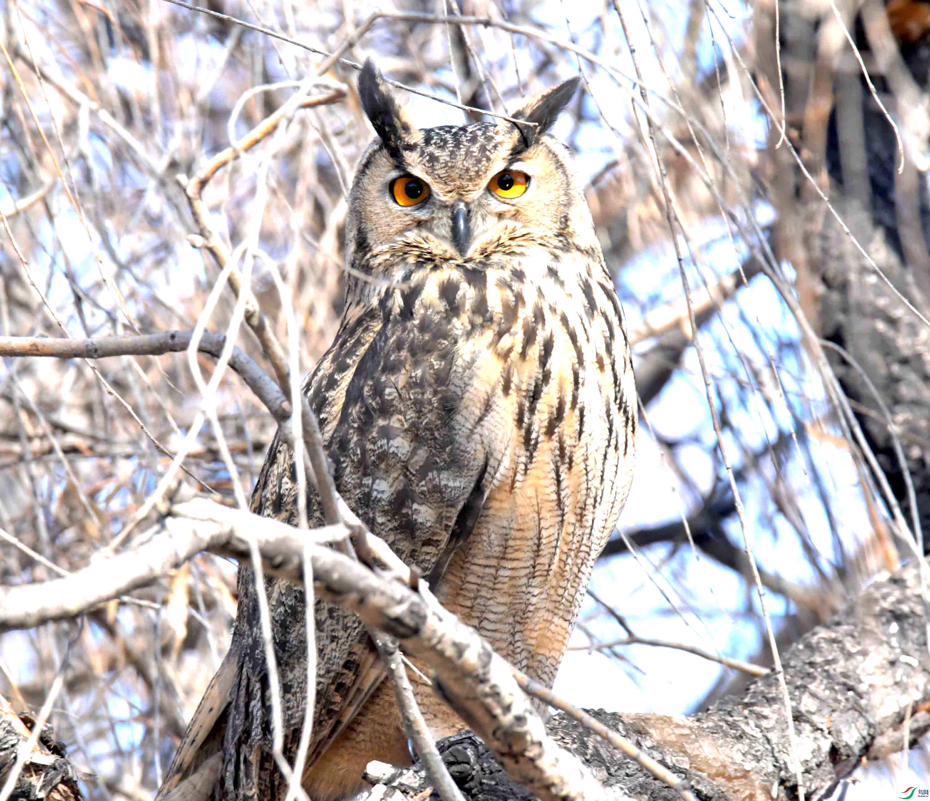 DSC_6050.JPG