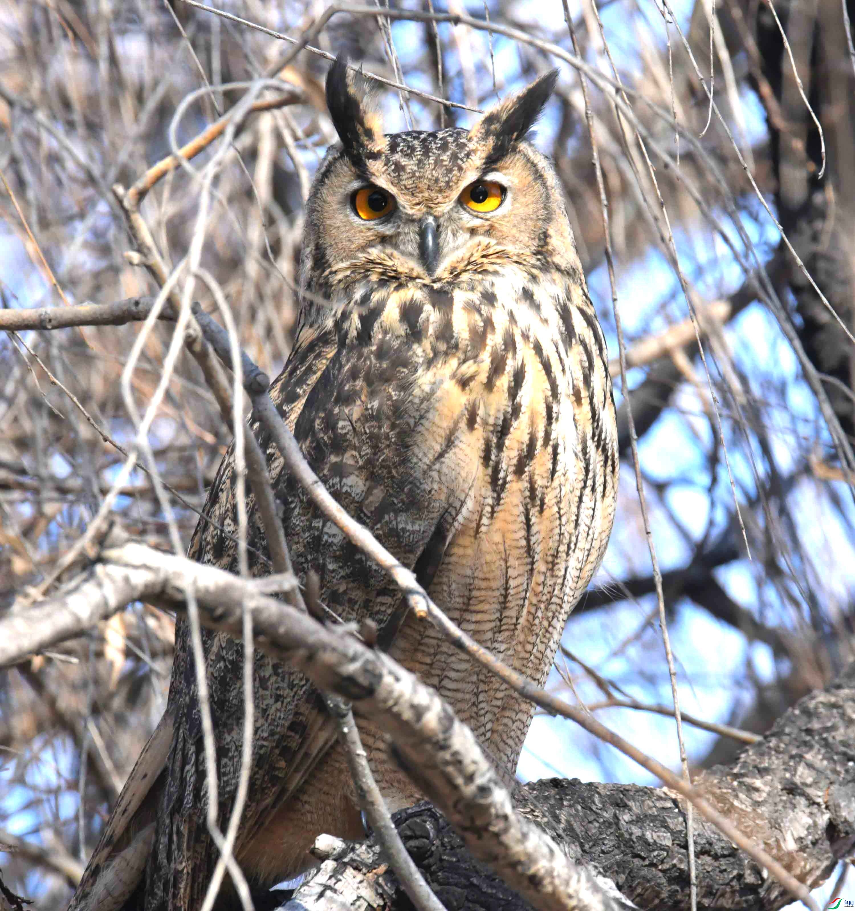 DSC_6047.JPG