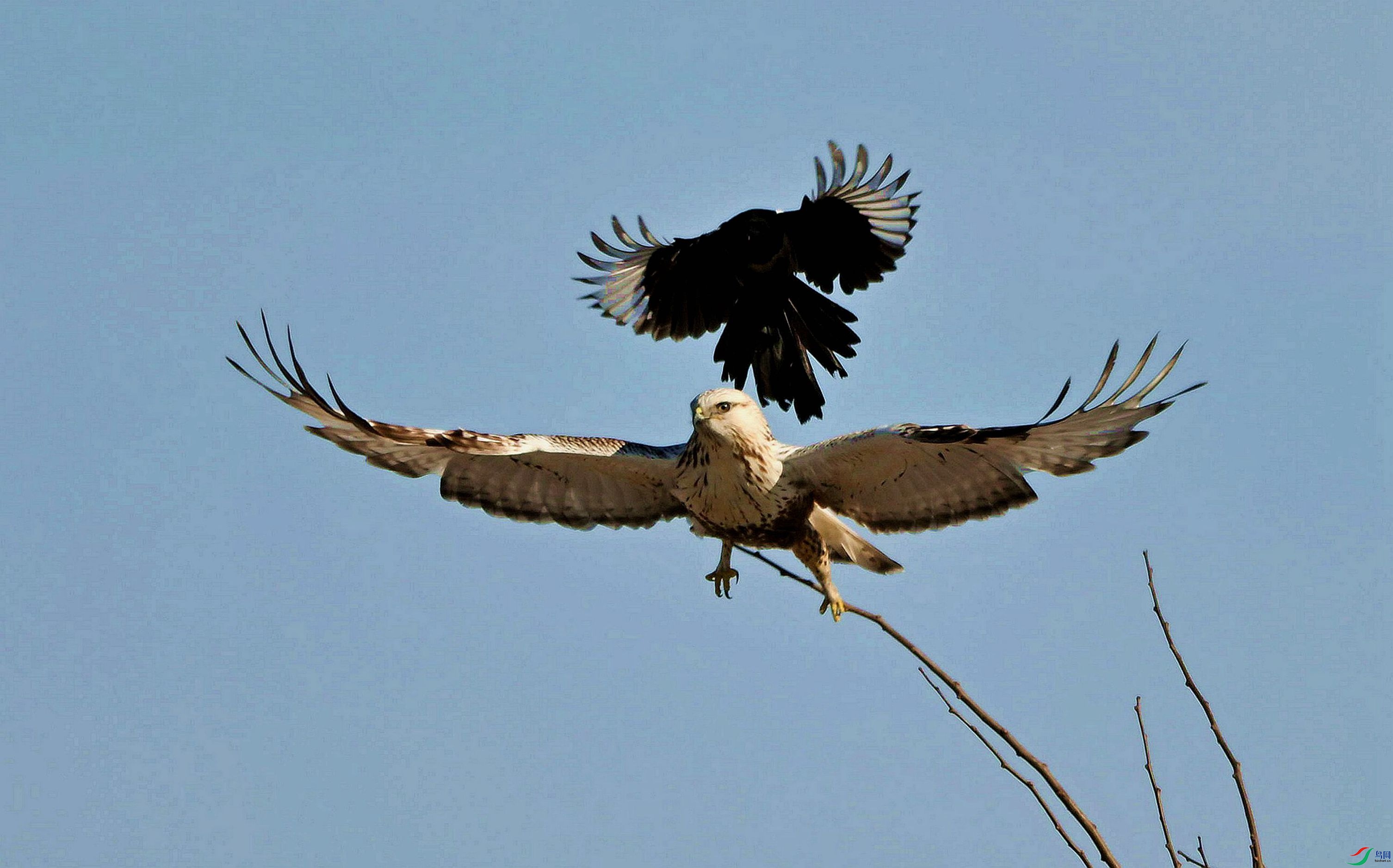 ë���\�ġ�������������