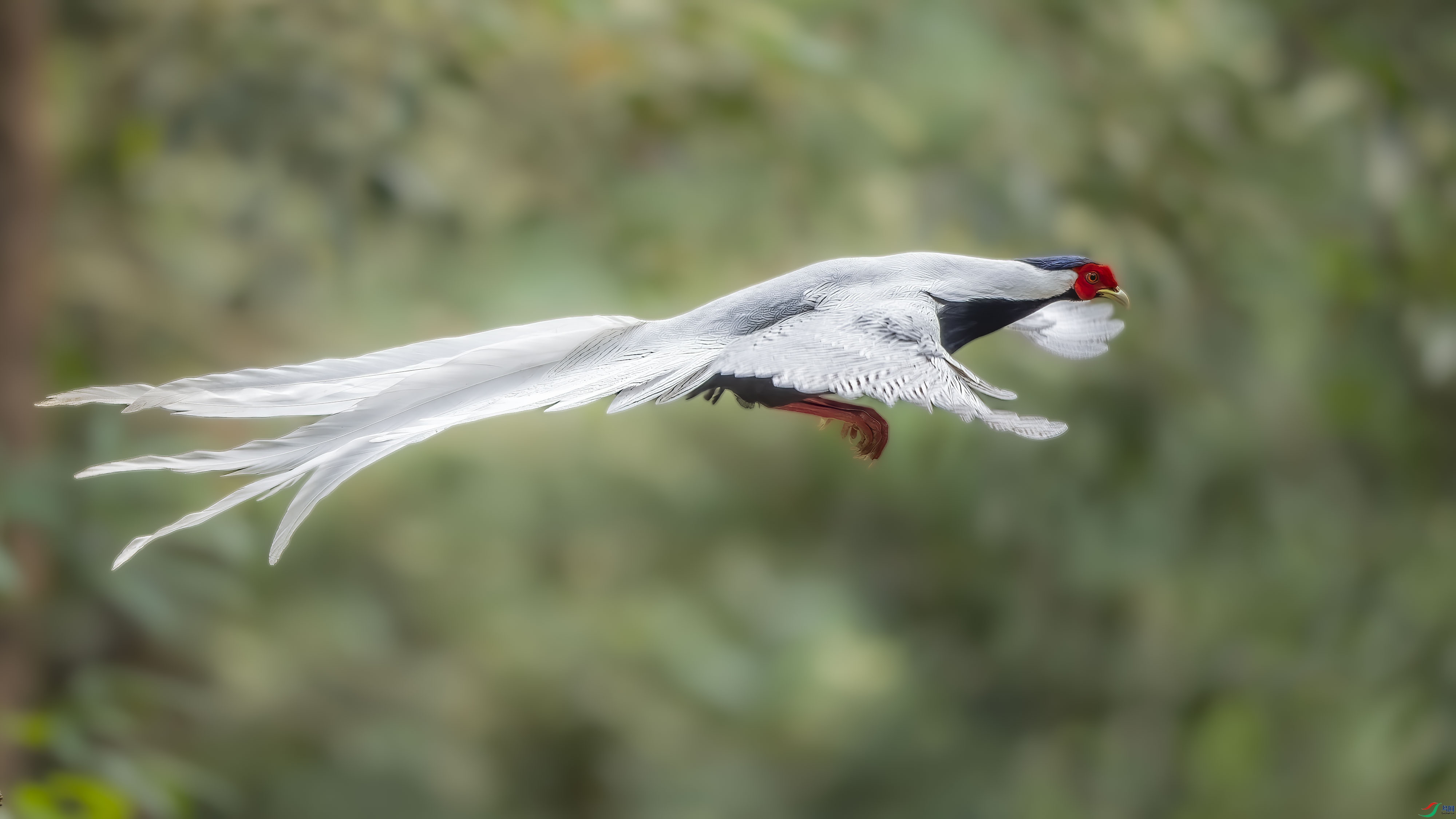 DSC_7761px.jpg