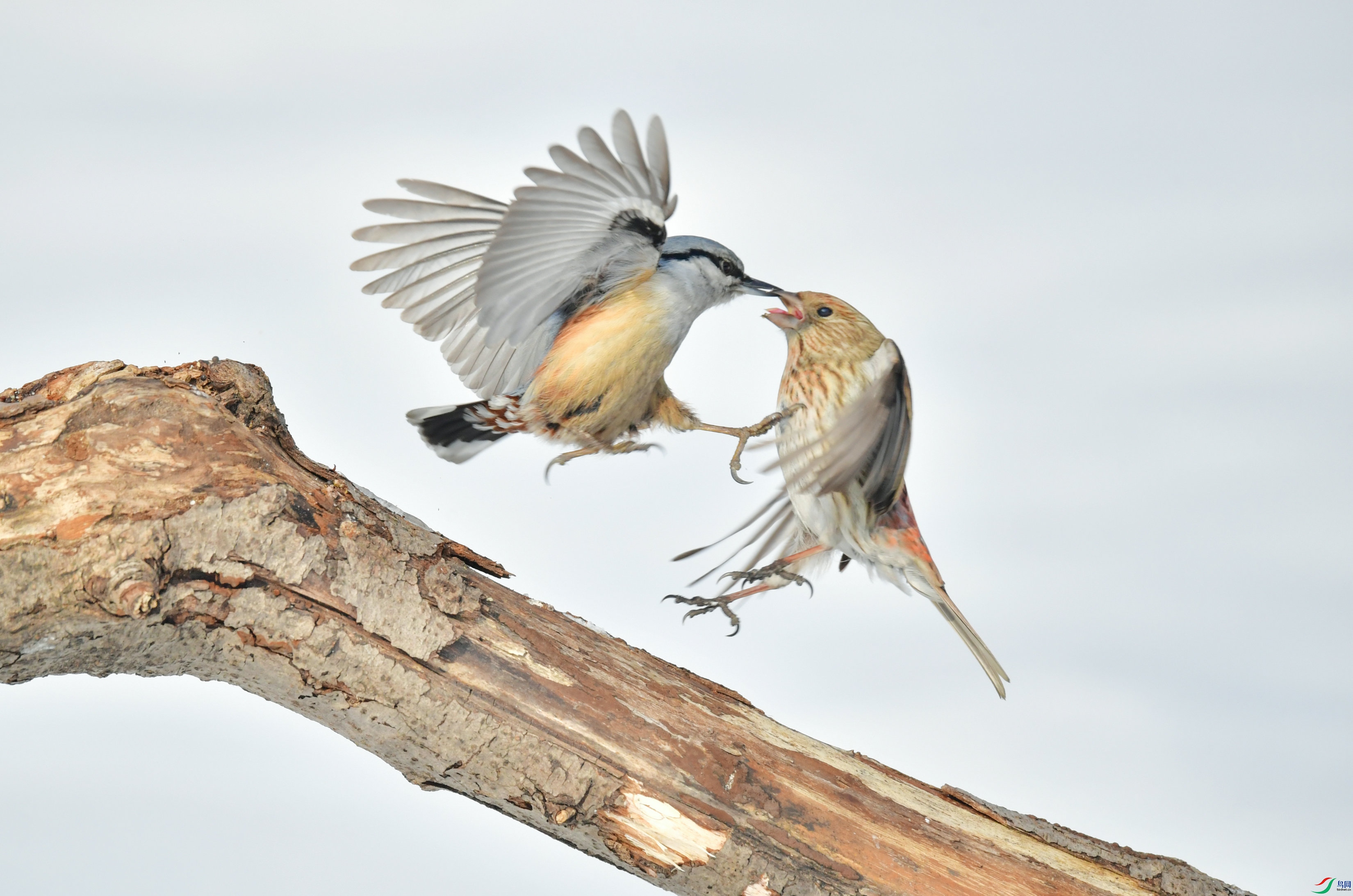 �ռ�����