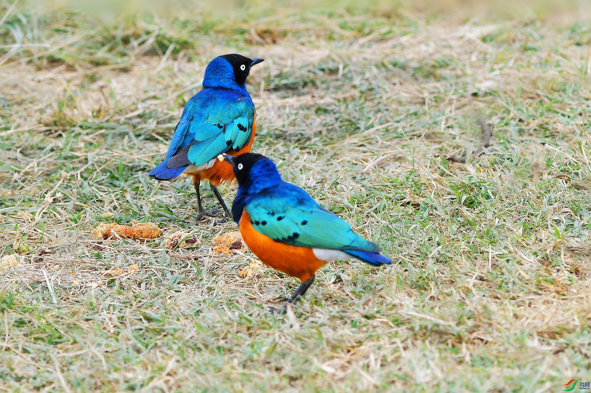 DSC_4364_.jpg