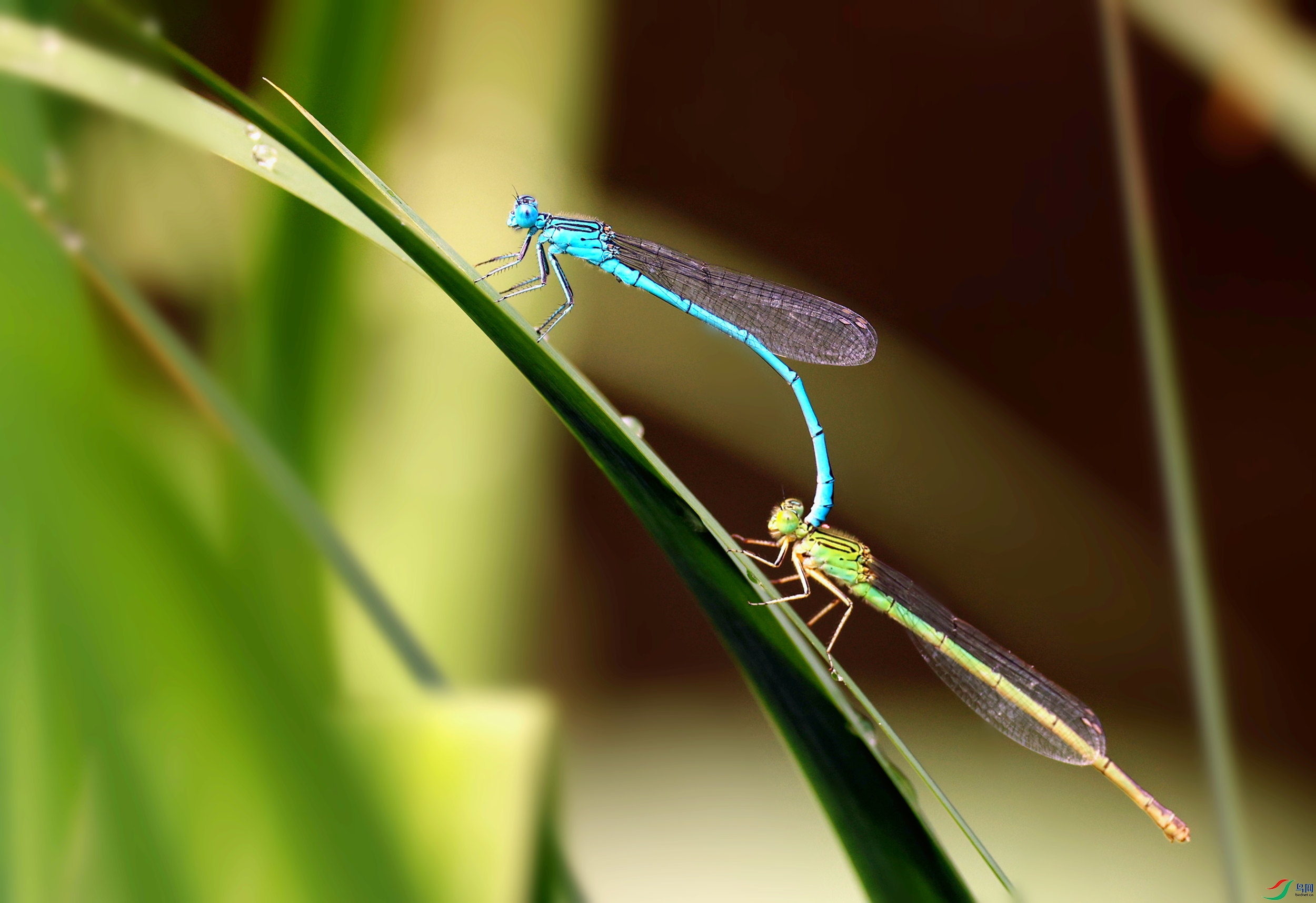5S8A4095_����.jpg