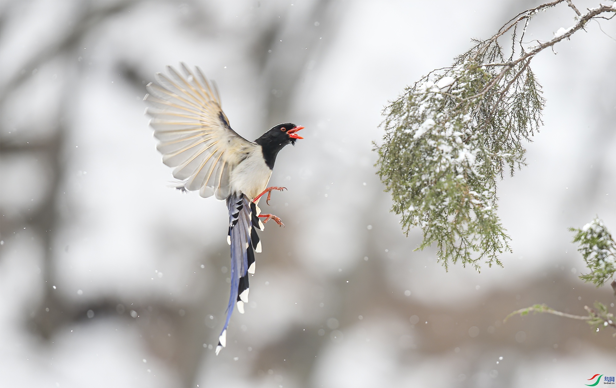 A56K7577 ����.jpg