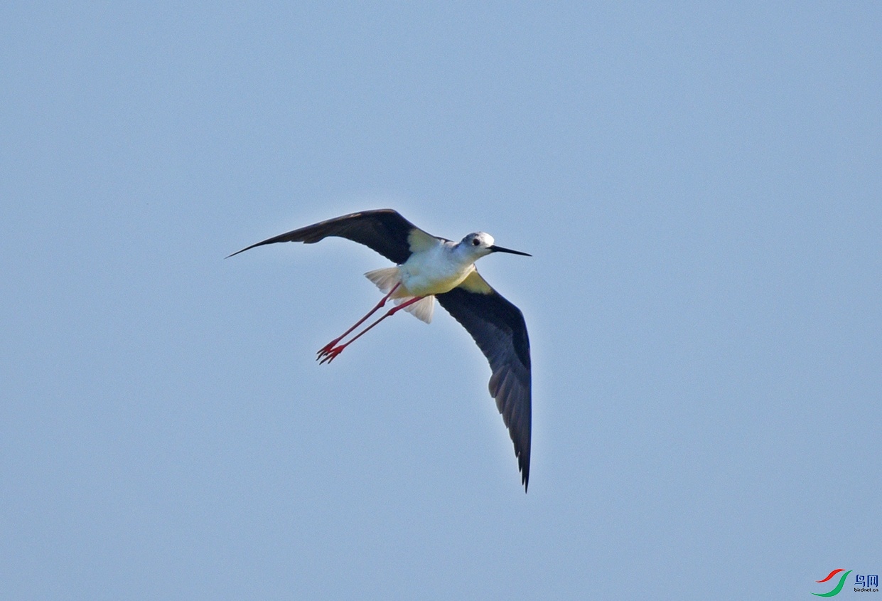 DSC_3702.jpg