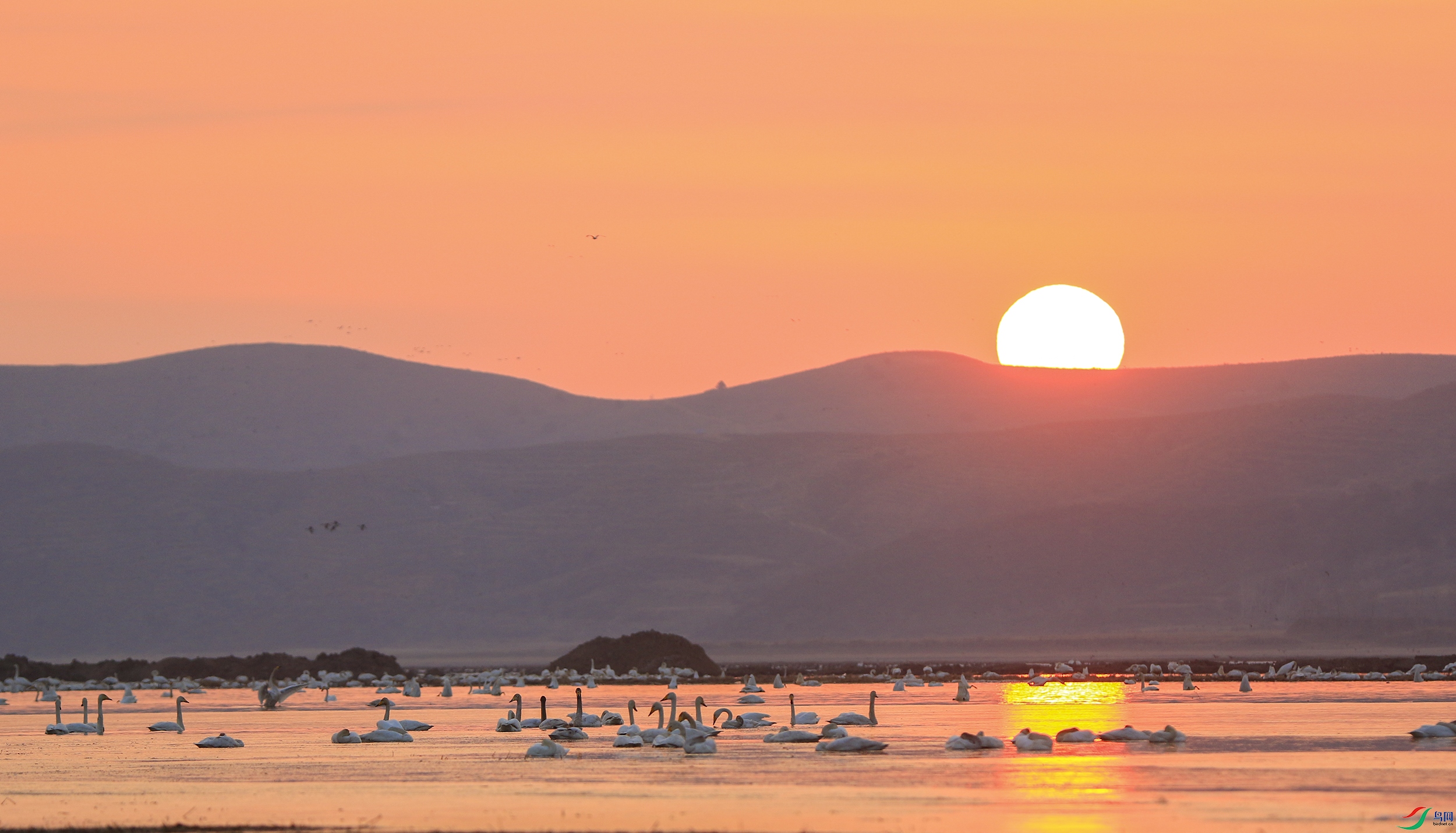 1J0A4318 ����.jpg