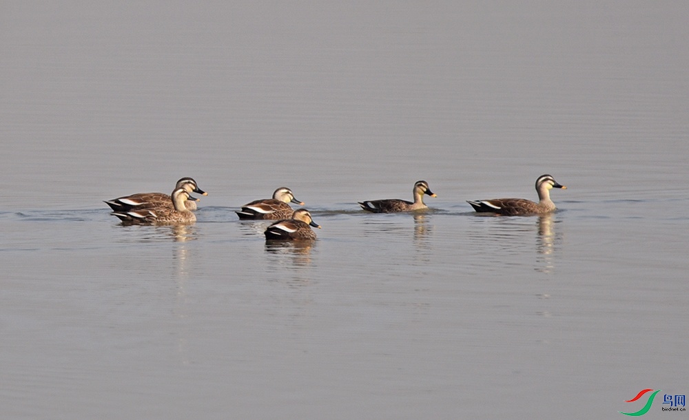 DSC_6540.jpg