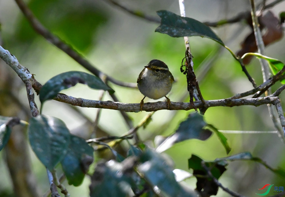 DSC_3854.JPG