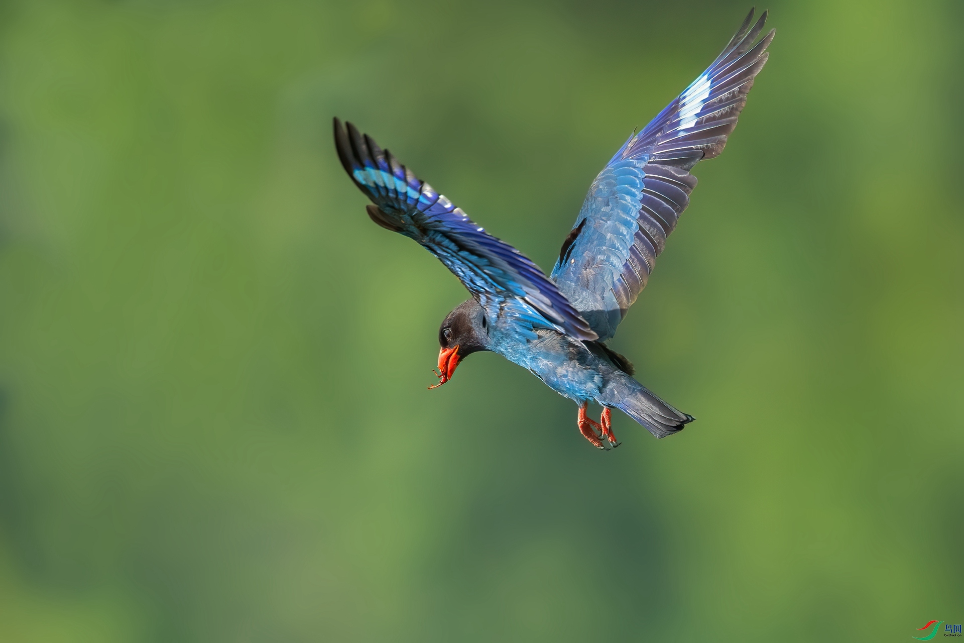 B86I0608 _����.jpg