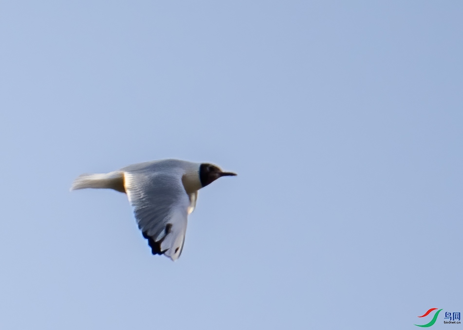 _DSC9969.jpg
