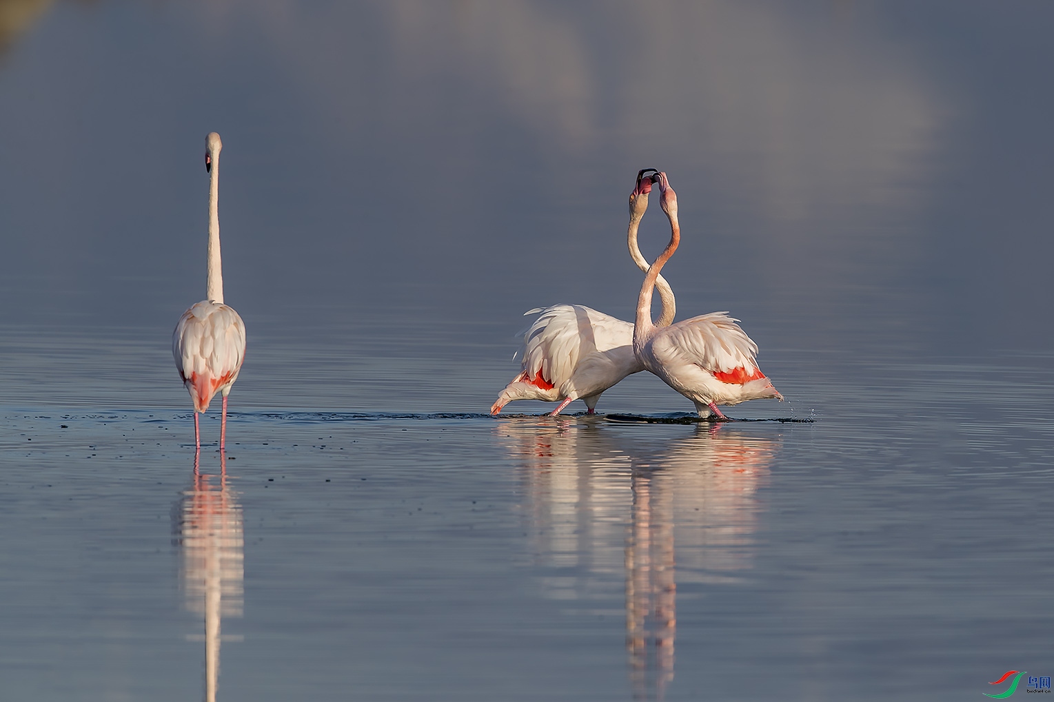 �������������