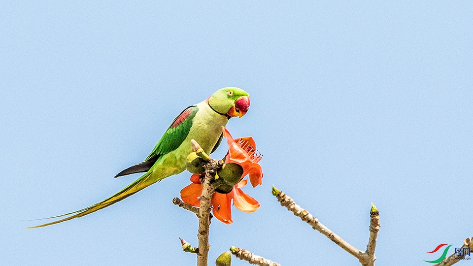 0A6A3950 ����.jpg