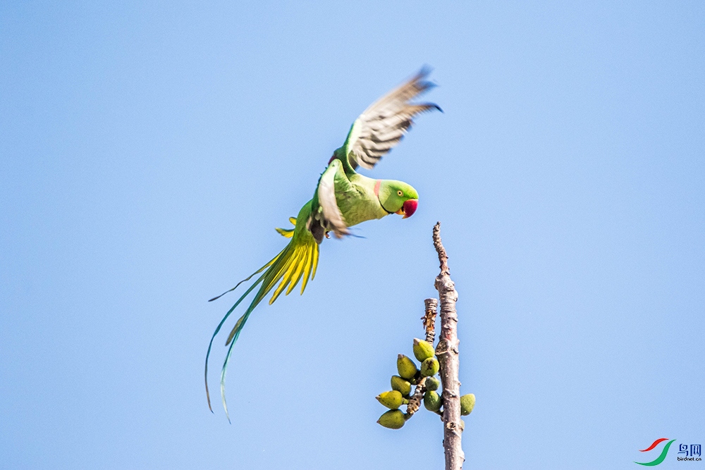 IMG_3457 ����.jpg