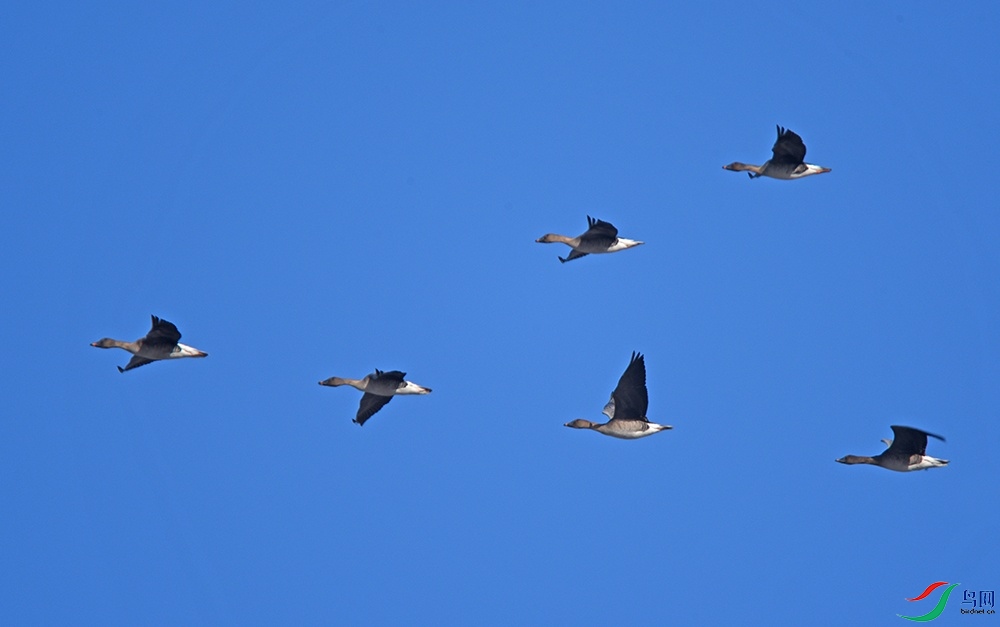DSC_9835.jpg