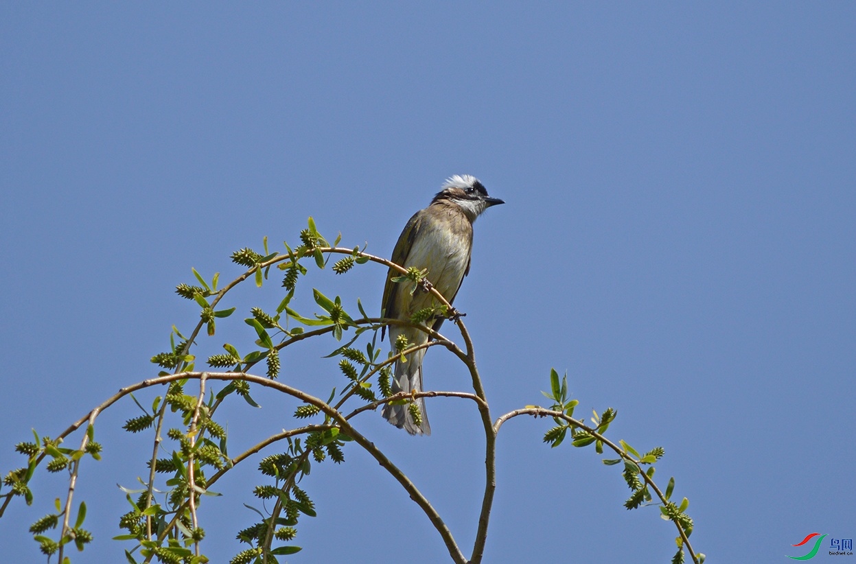 DSC_022522.jpg