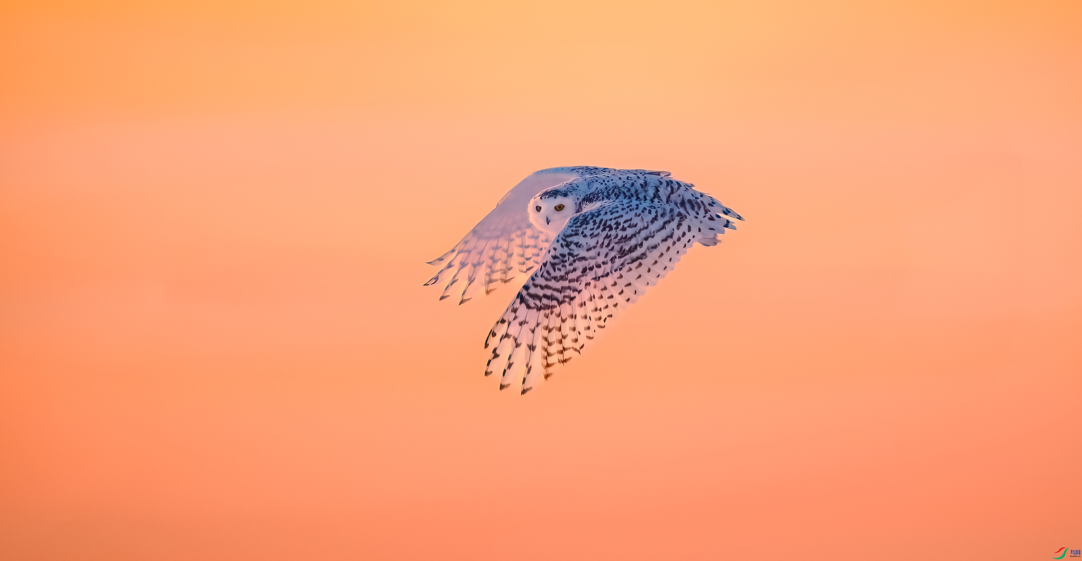 _DSC8968==2w.jpg
