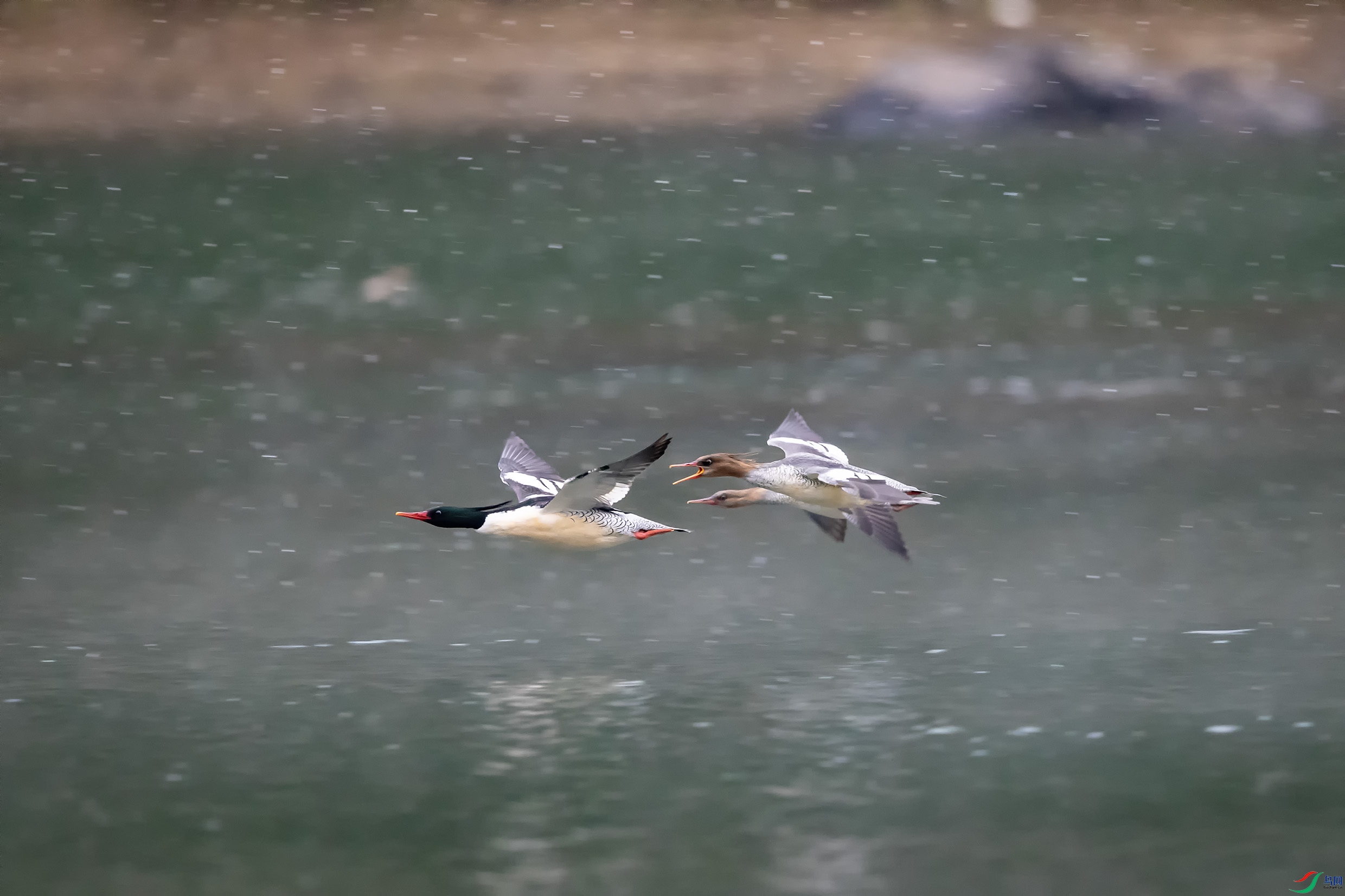 B18I0161 ����2.jpg