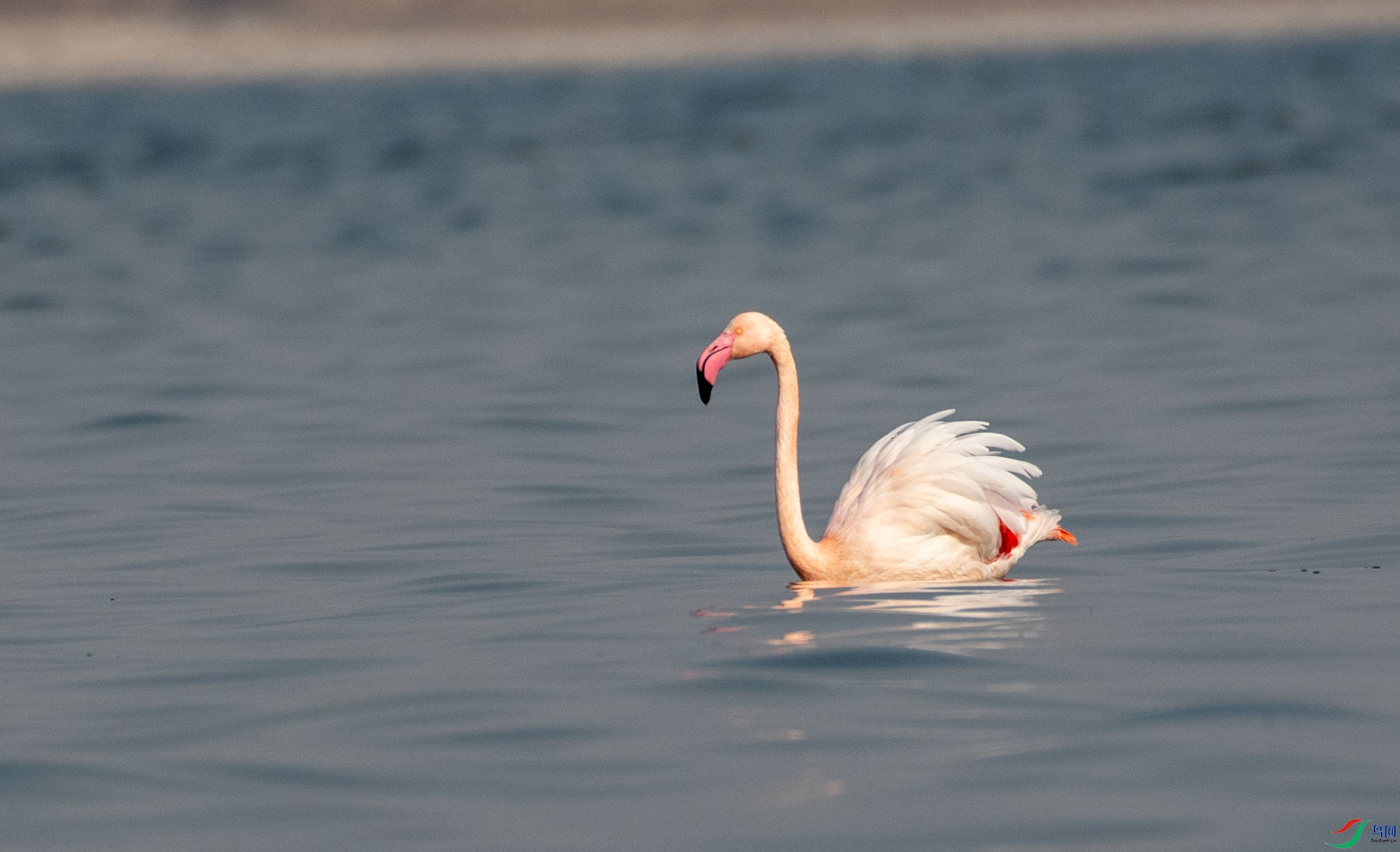 DSC_7673.jpg