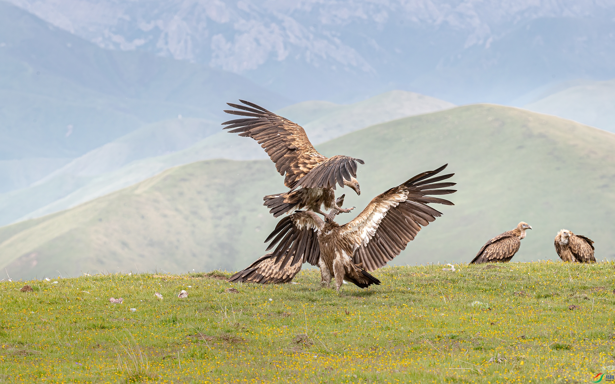 AY8I1152 ����.jpg