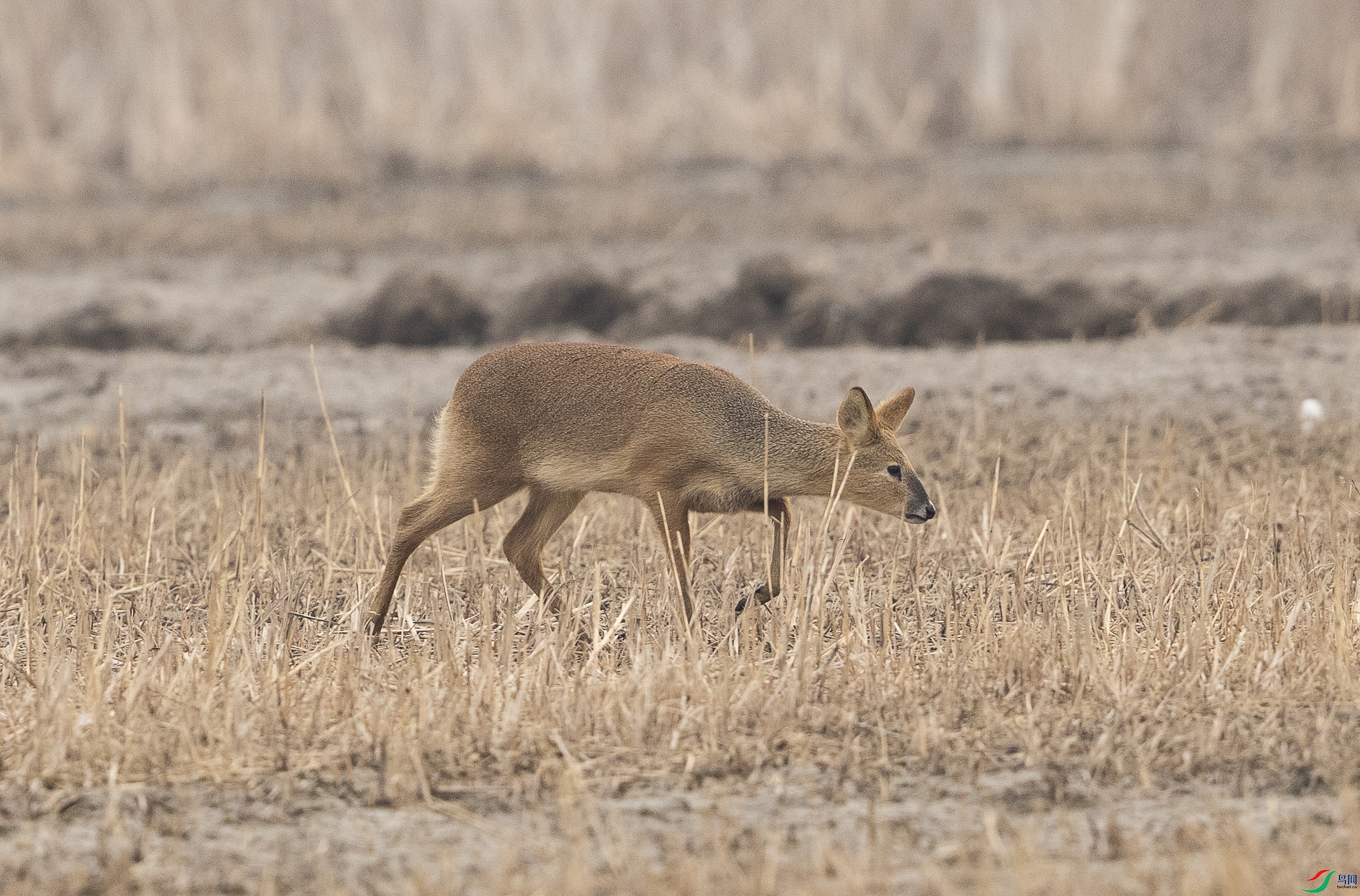 _W4I4738 ����.jpg