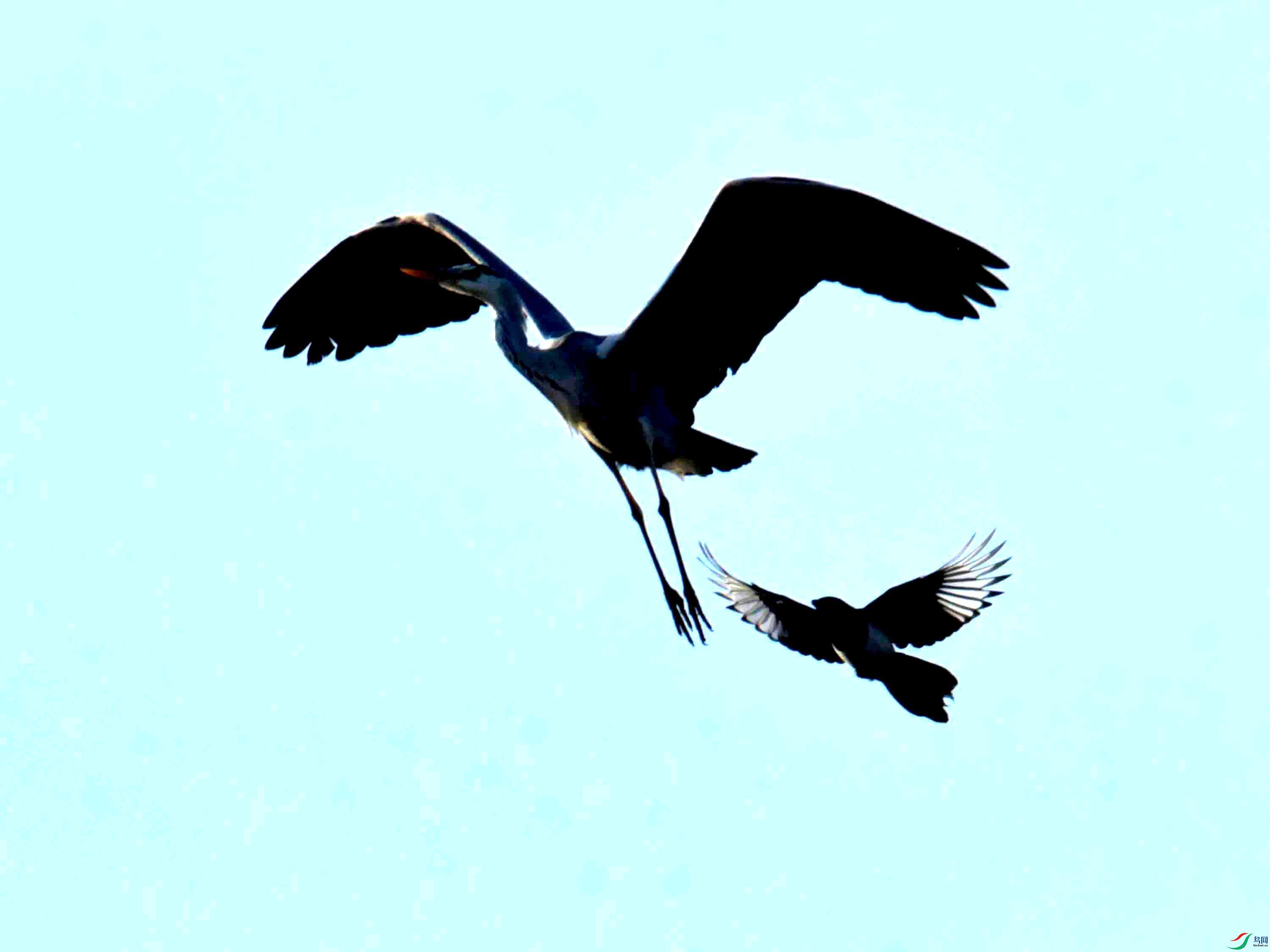 DSC_9390.JPG