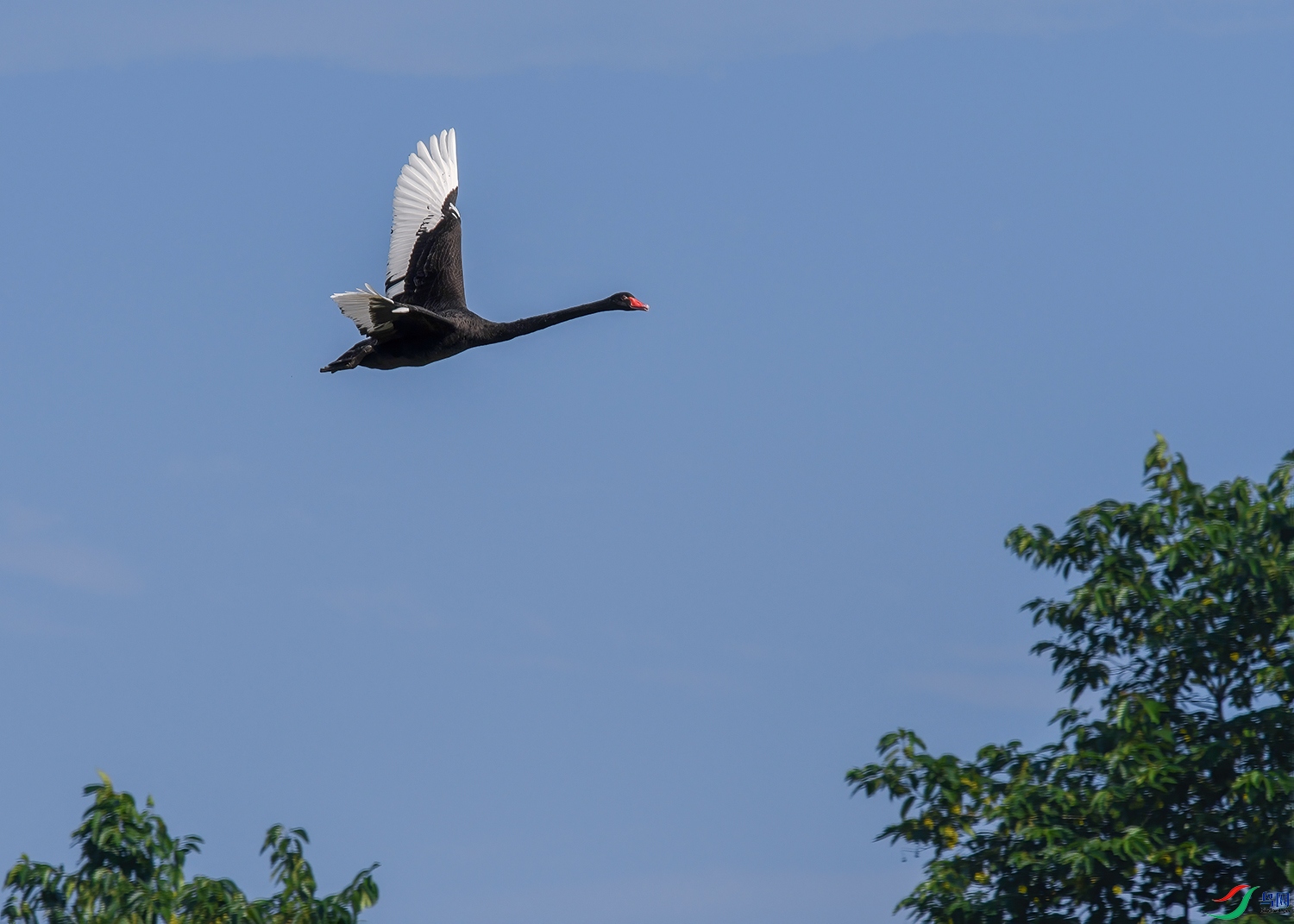 DSC_3618-2.jpg