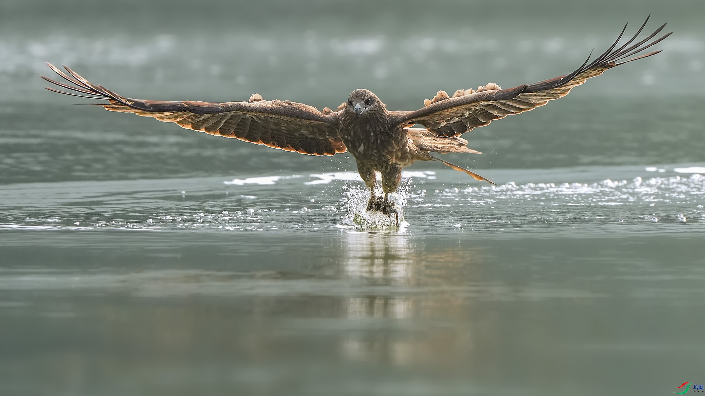 DSC00622 ����1.jpg