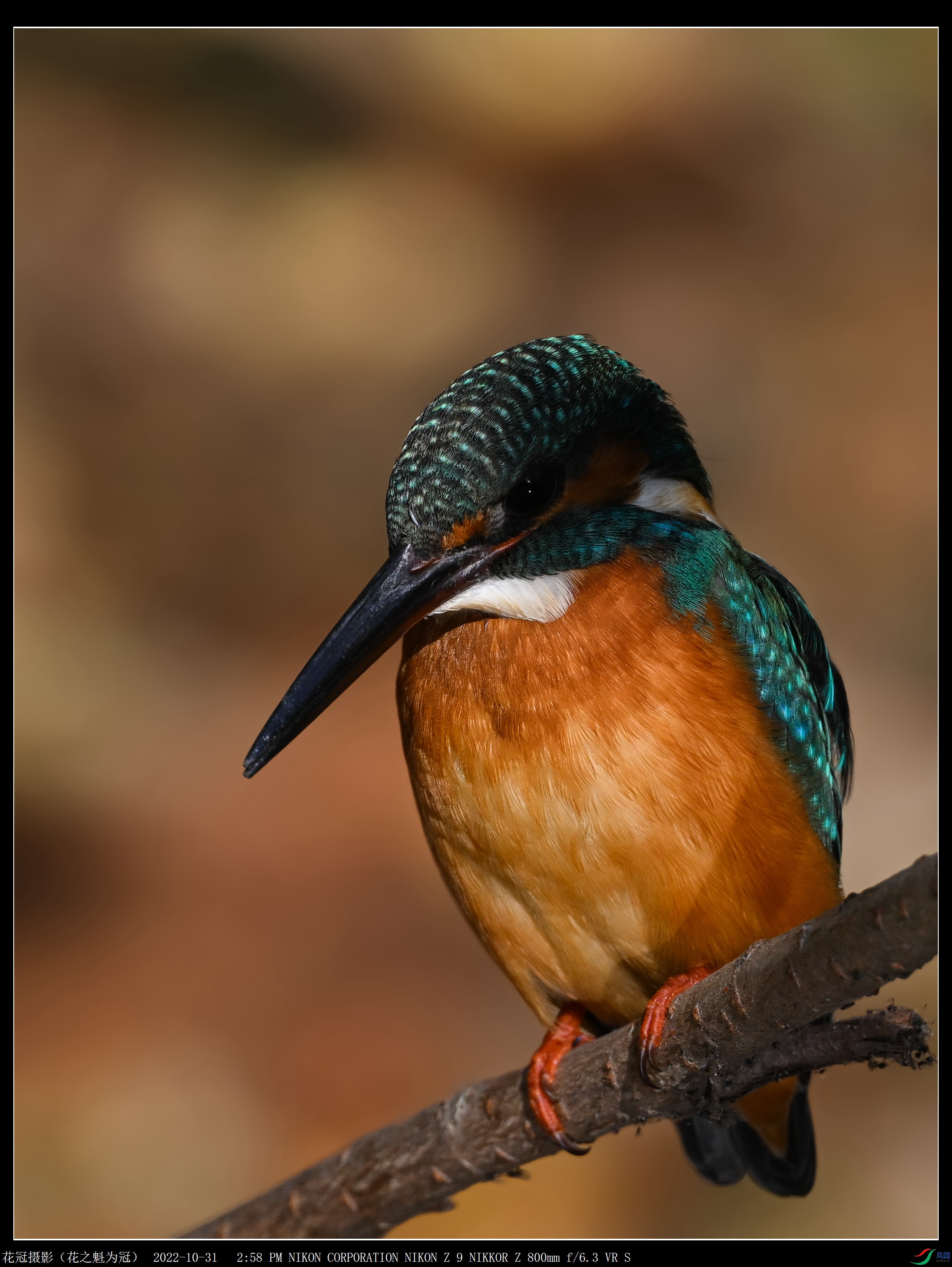 DSC_5065B-5_����.jpg