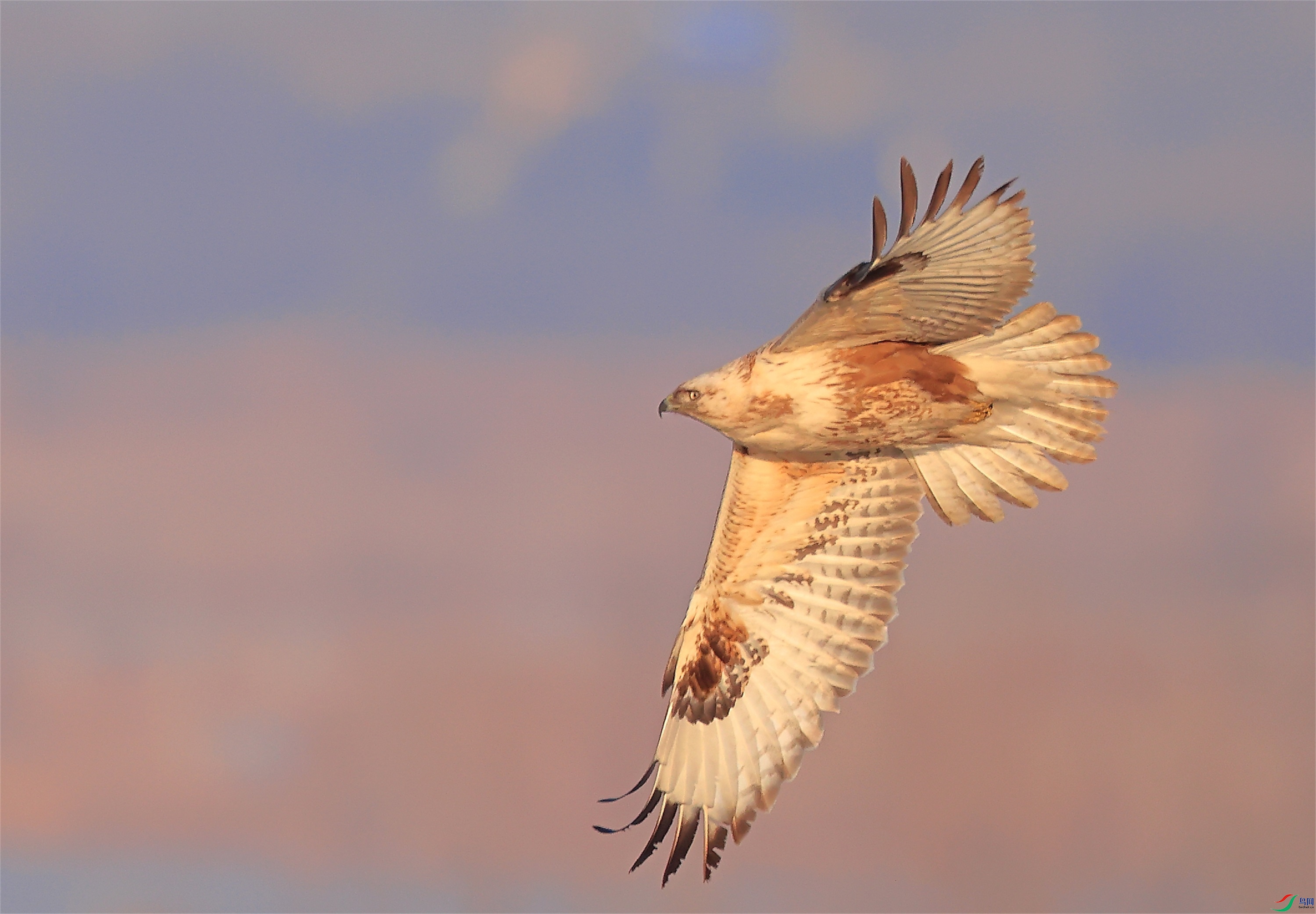 21 - ����.JPG