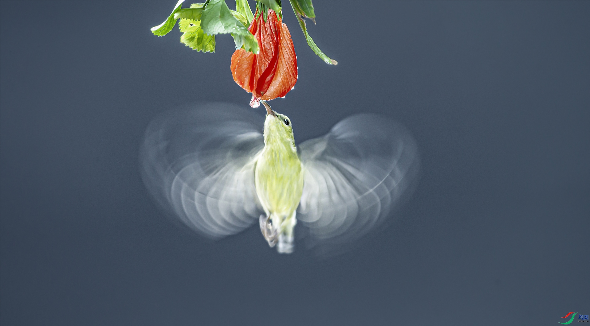 AK7A9574-1sa1.jpg