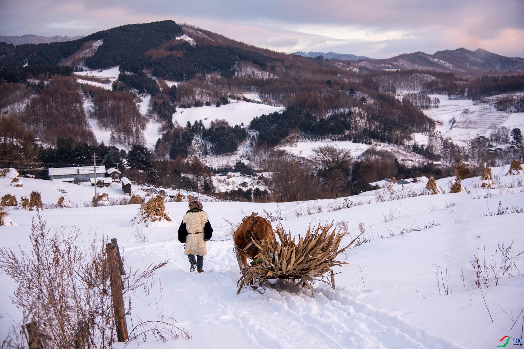 DSC_3410 ����_����.jpg