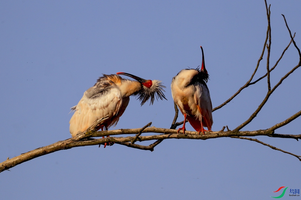 _D2I079811_1 - ����.JPG