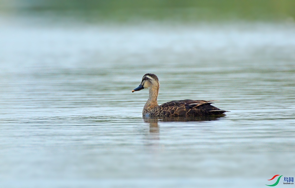 DSC_0644.jpg