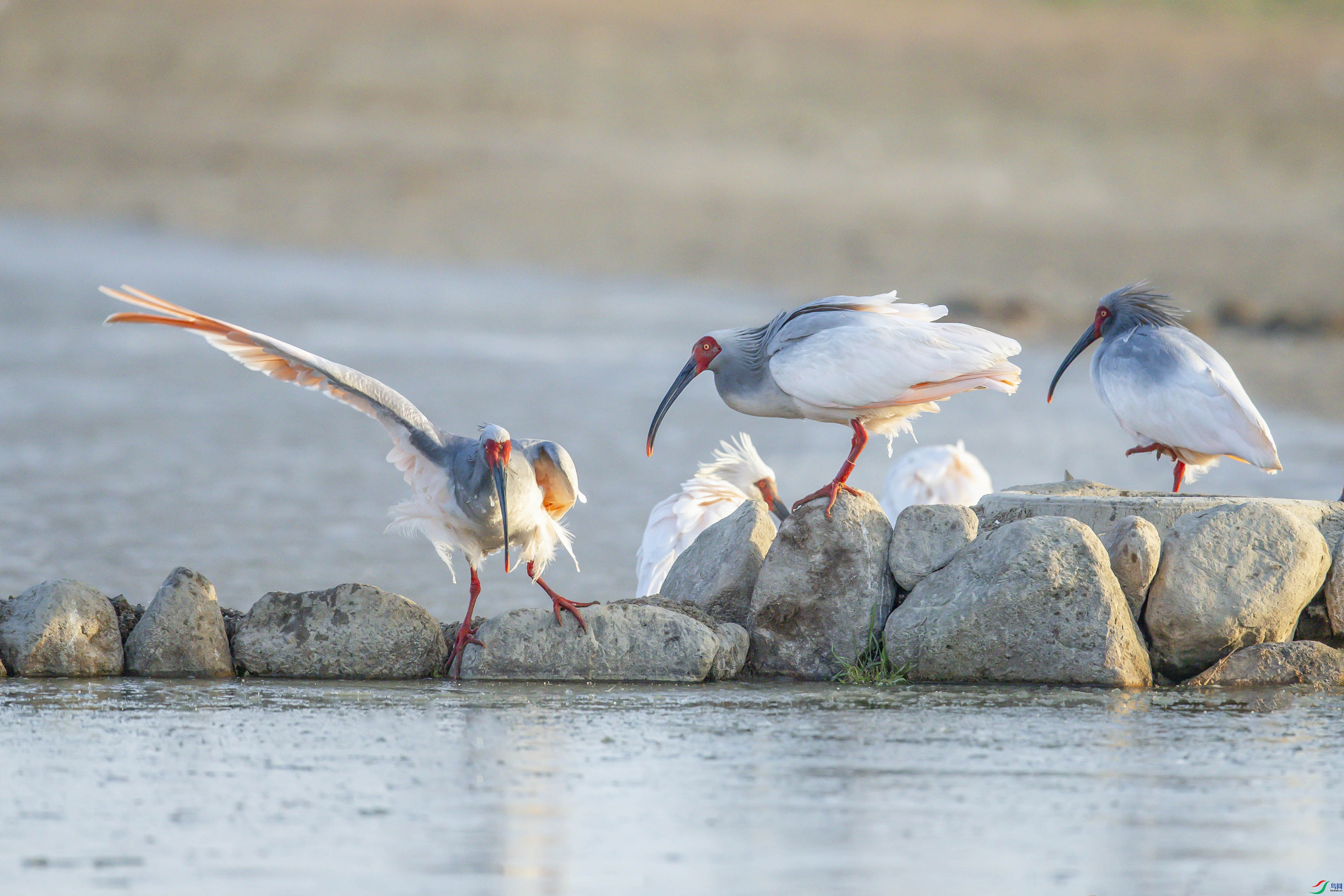 _R9W1789 ����.jpg