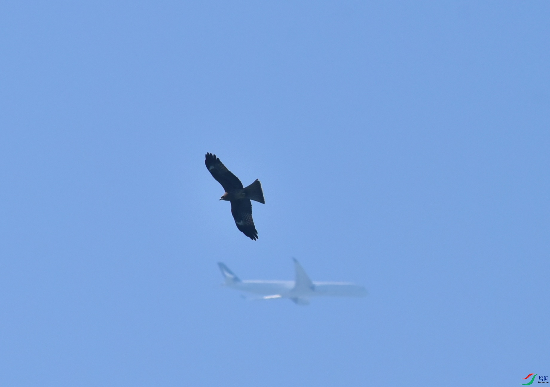 ���ձ���