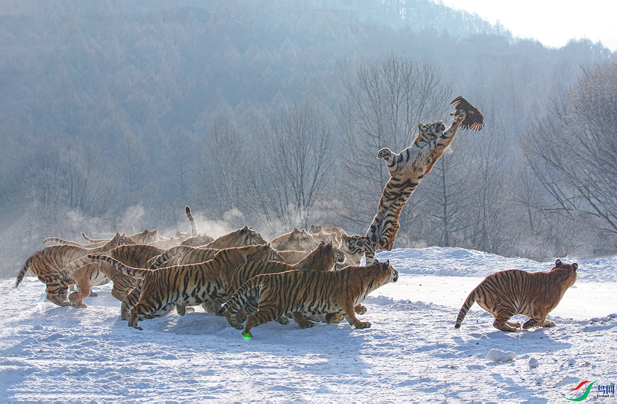 0T4A7664 ����.jpg