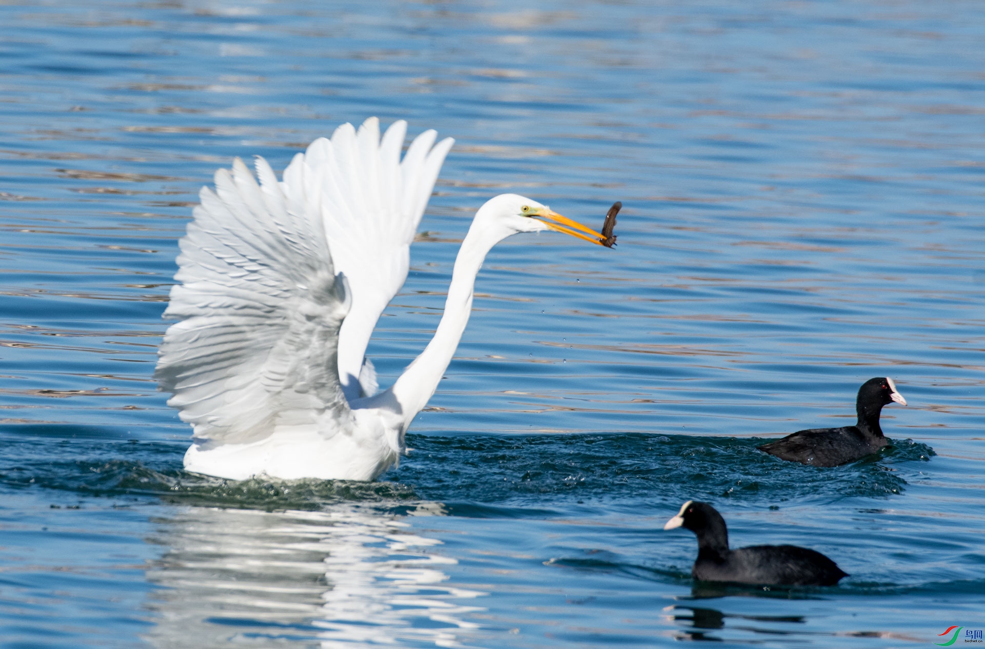 DSC_5017.jpg