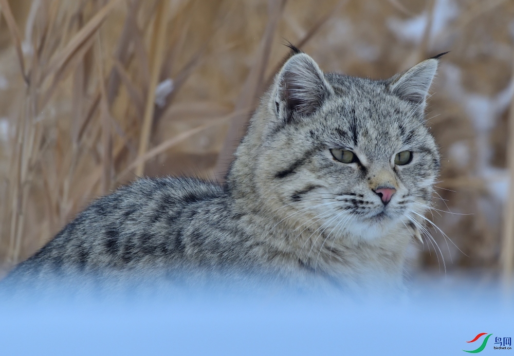 DSC_4628.JPG
