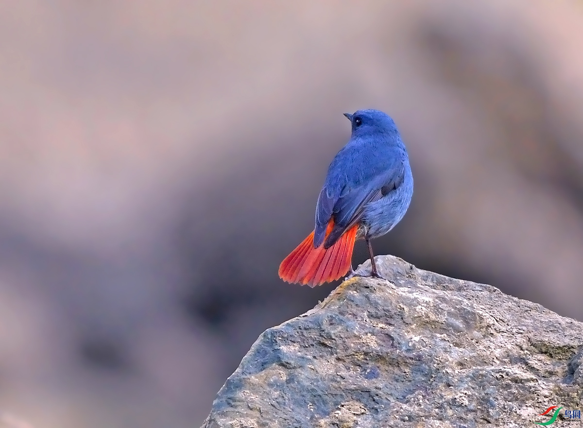 DSC_6131.JPG