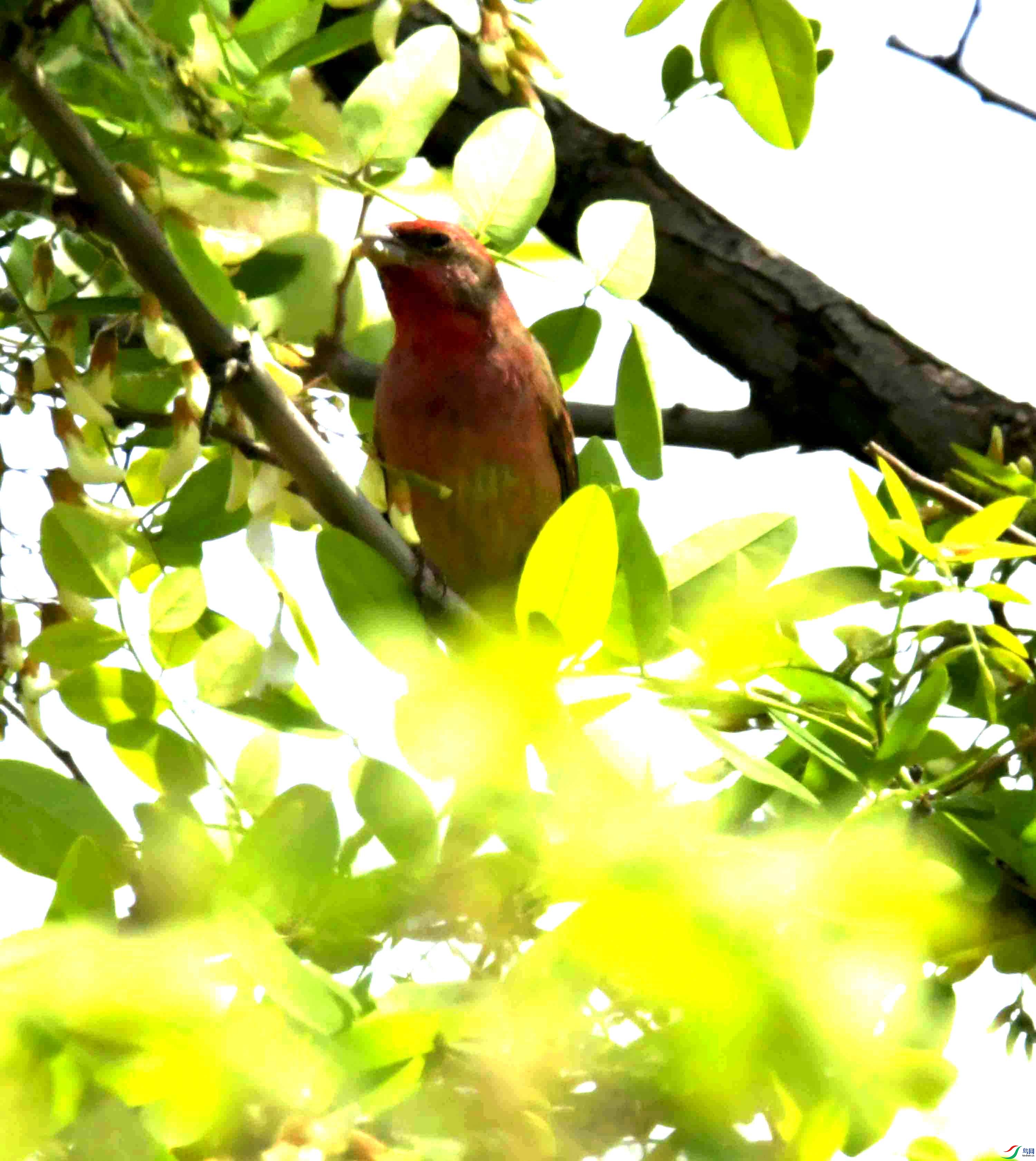 DSC_8236.JPG