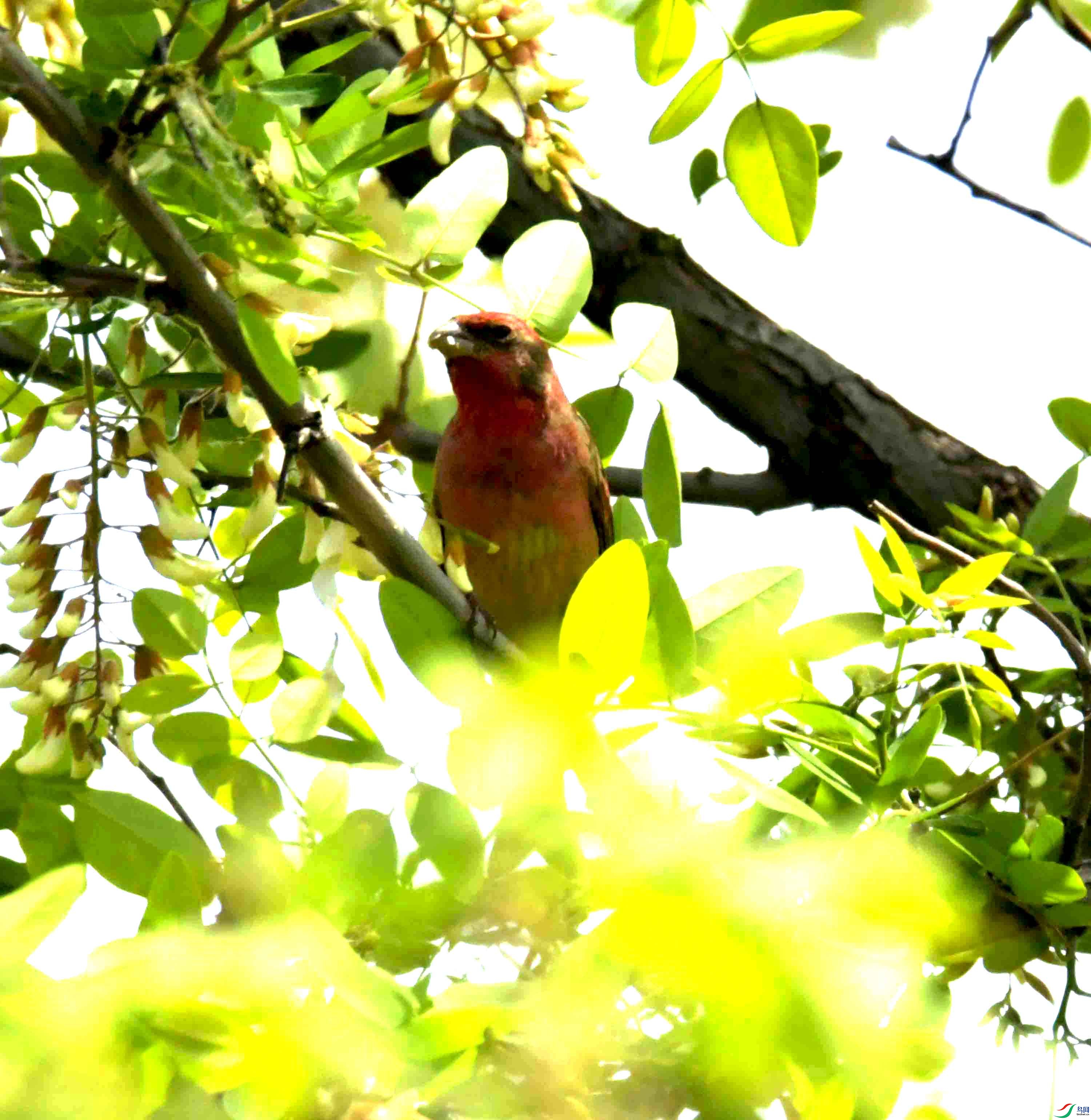 DSC_8232.JPG