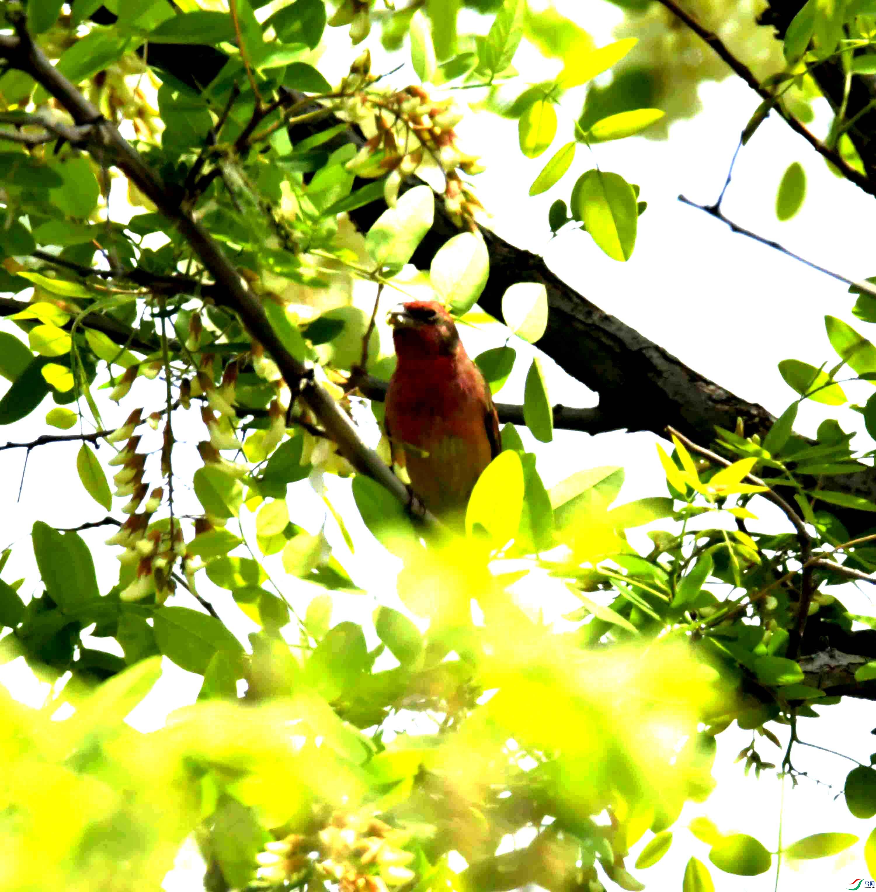 DSC_8237.JPG