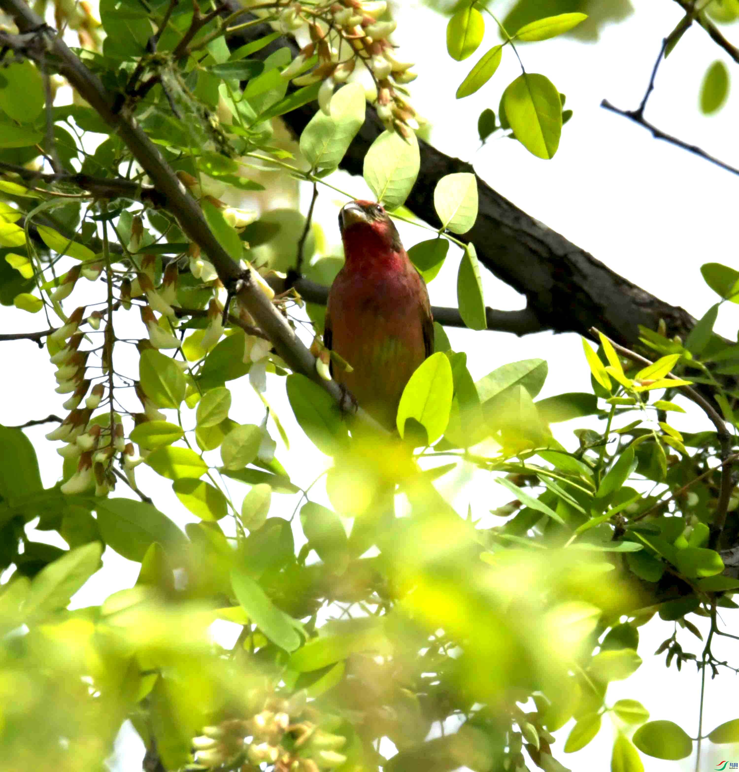 DSC_8252.JPG