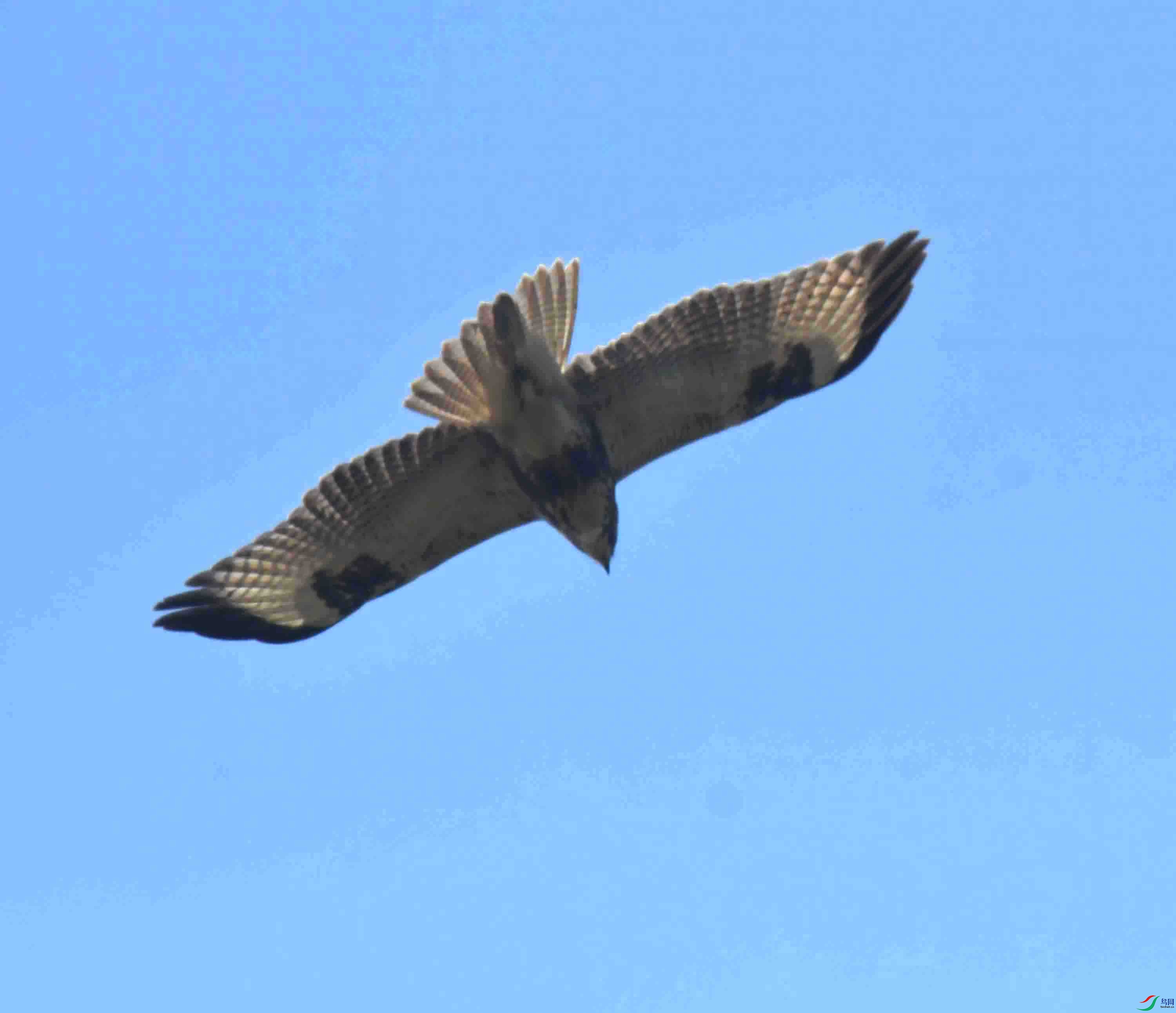 DSC_5289.JPG