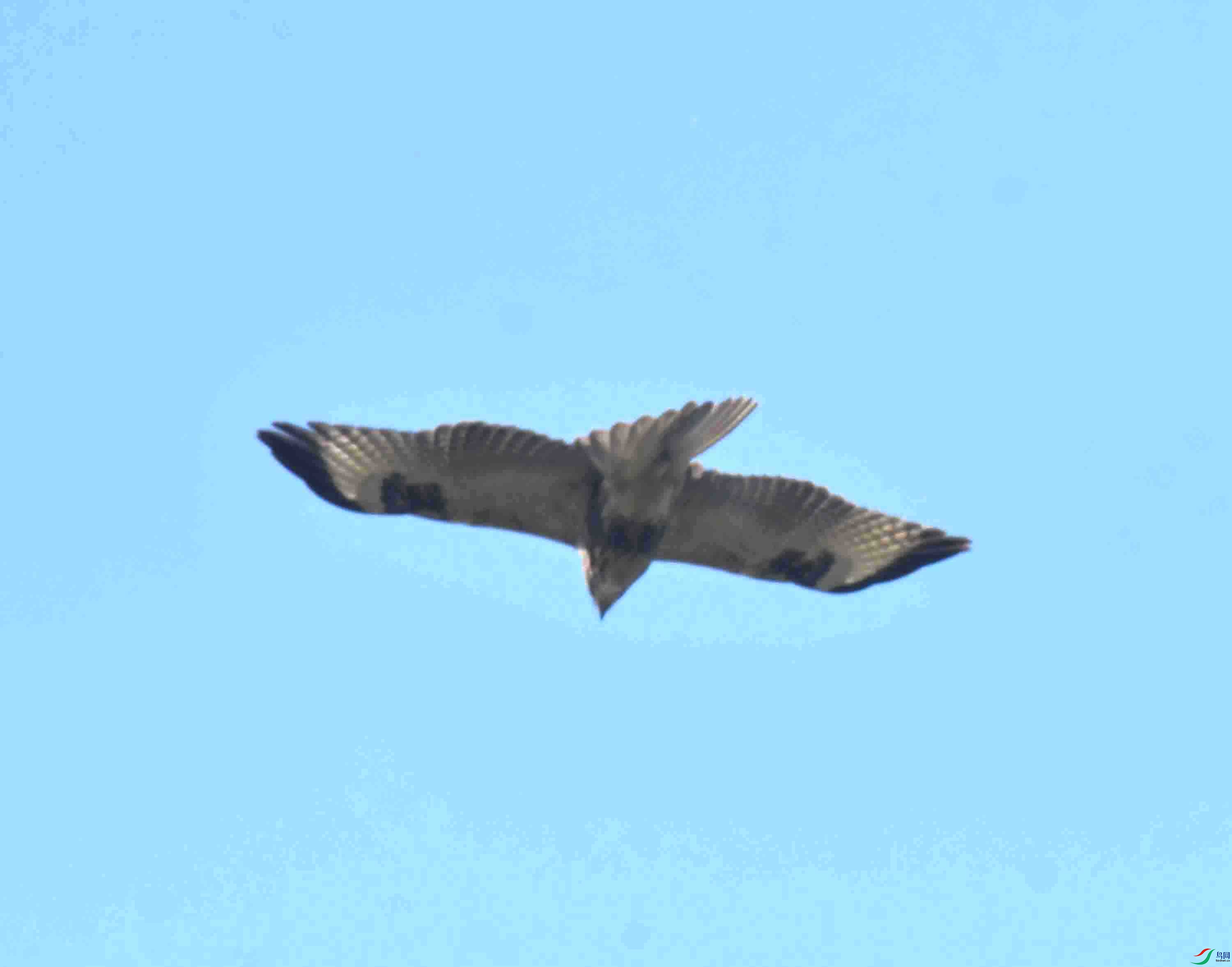DSC_5296.JPG